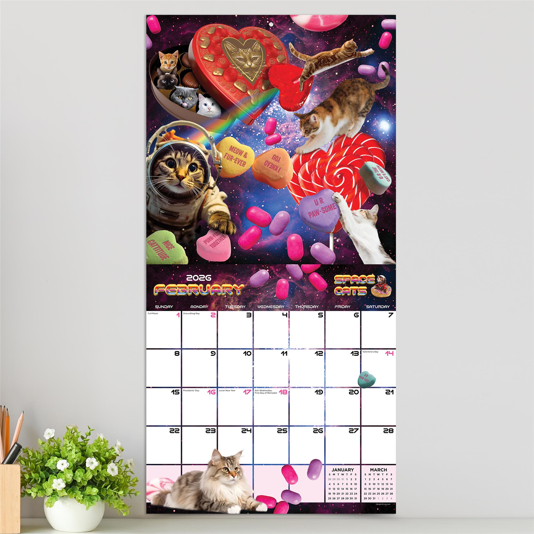 Calendrier mural Space Cats 2026 - Disponible uniquement en ligne