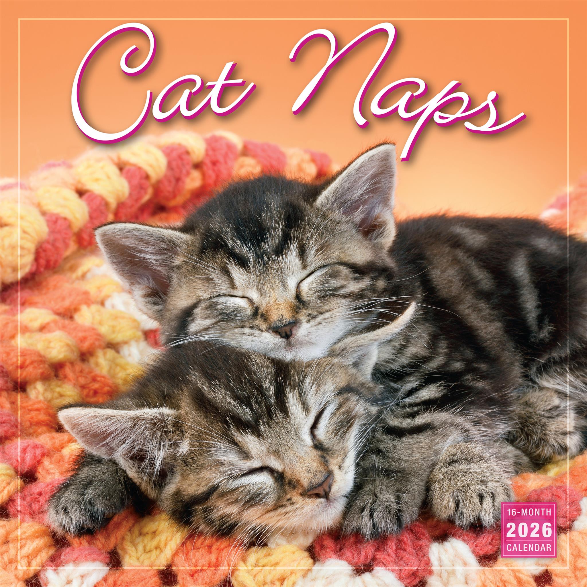 Calendrier mural Cat Naps 2026 - Disponible uniquement en ligne