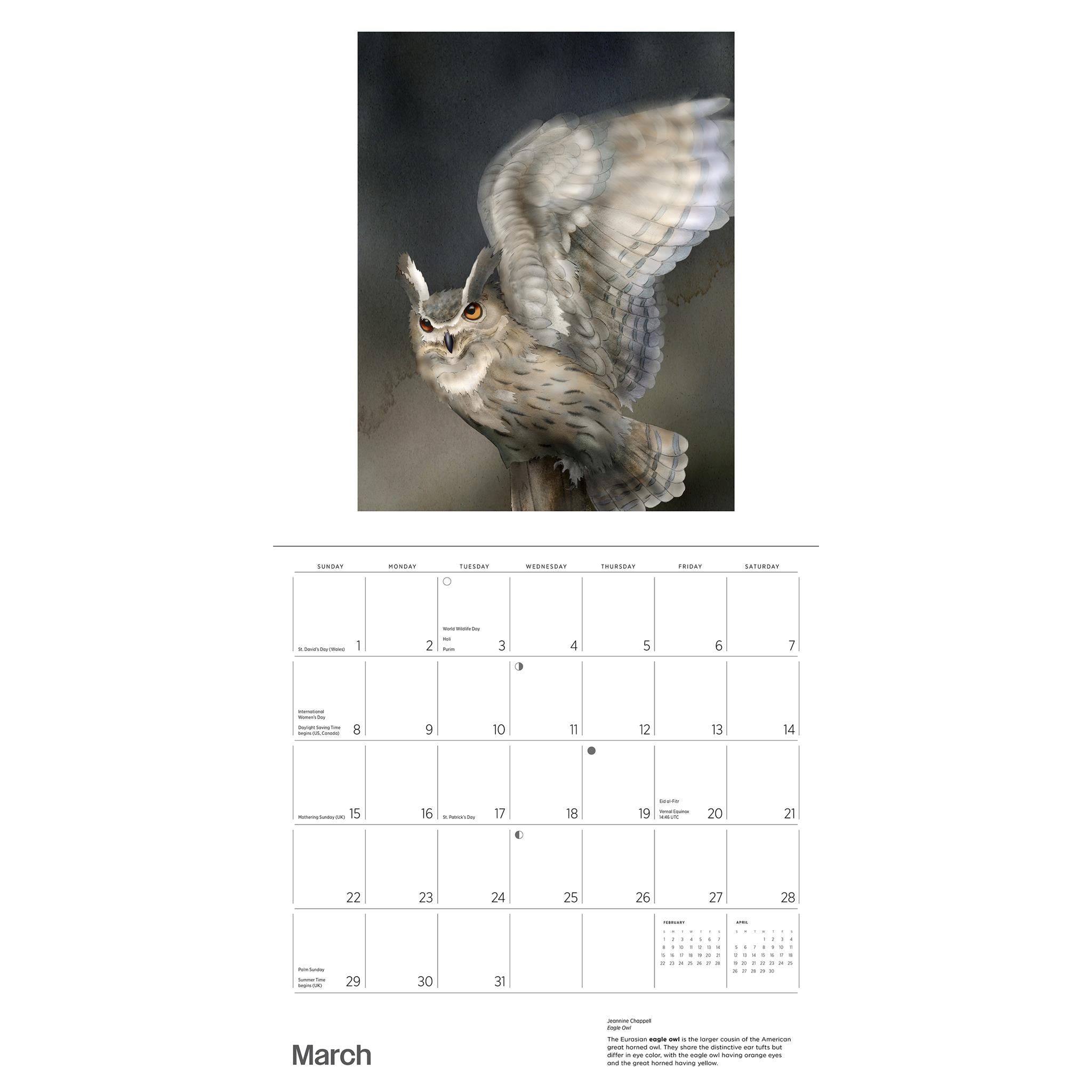 Calendrier mural 2026 de Jeannine Chappell et les hiboux
