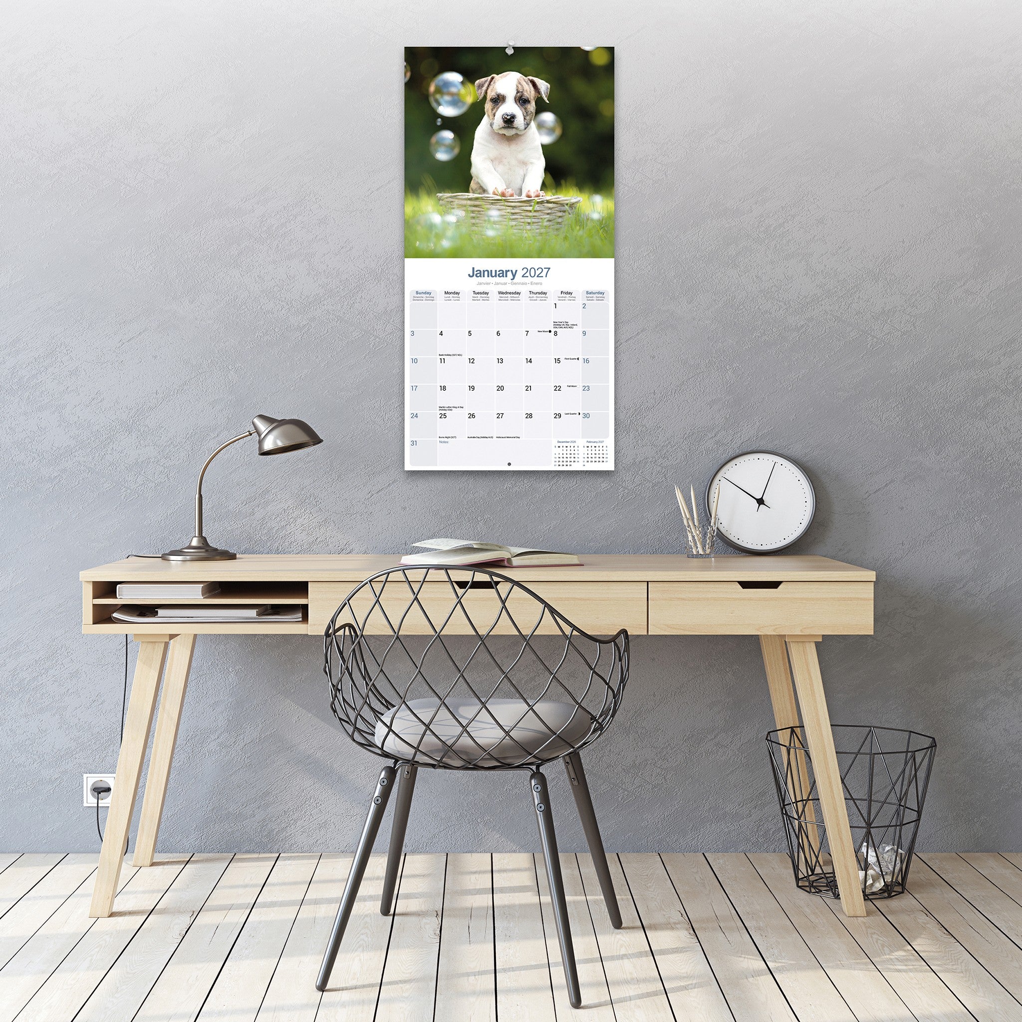 American Staffordshire Terrier 2027 Wall Calendar - Online Only