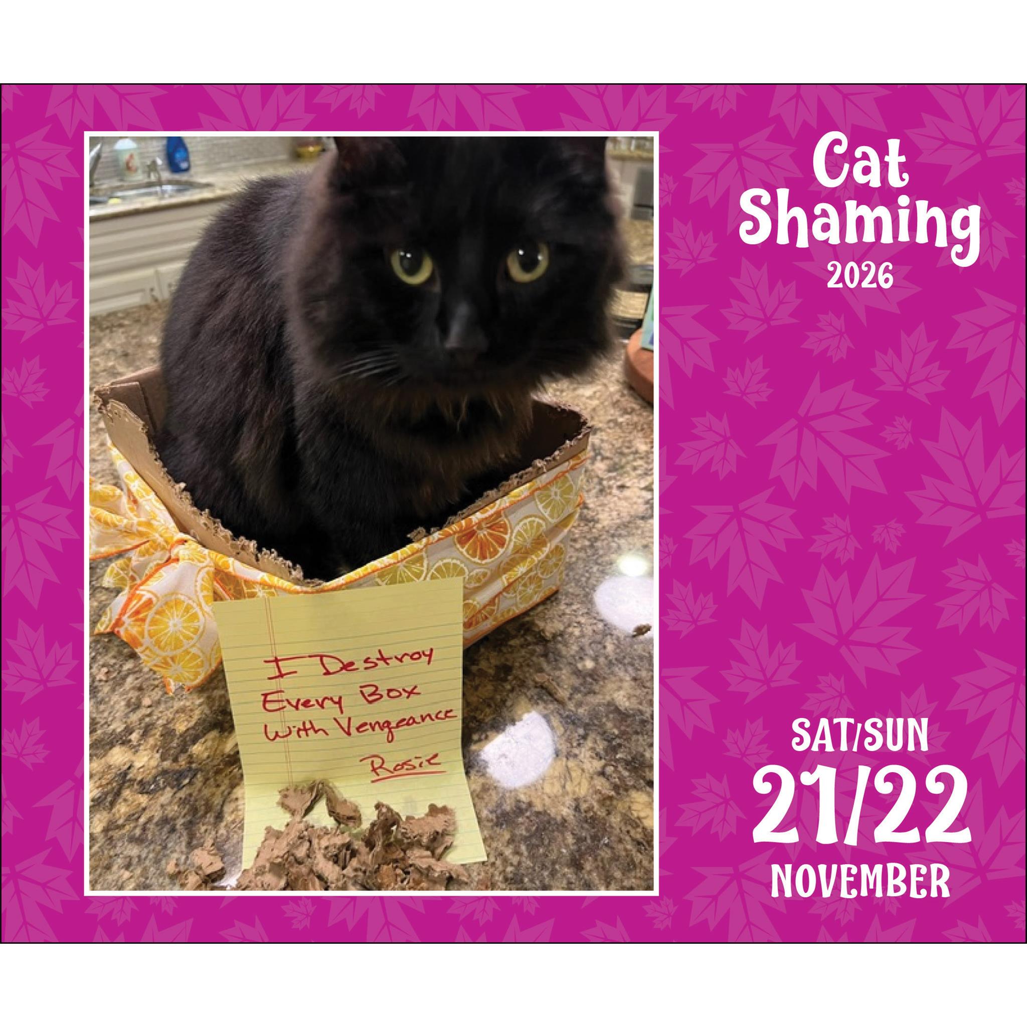 Calendrier de la boîte Cat Shaming 2026