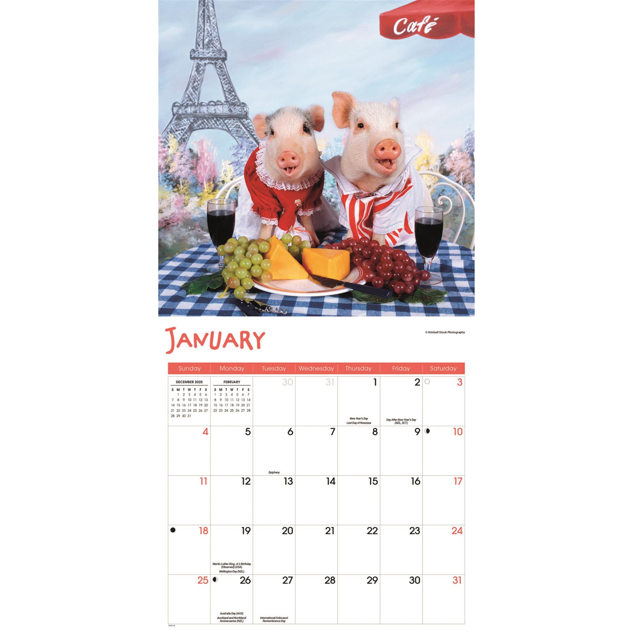 Pigs Playful 2026 Wall Calendar