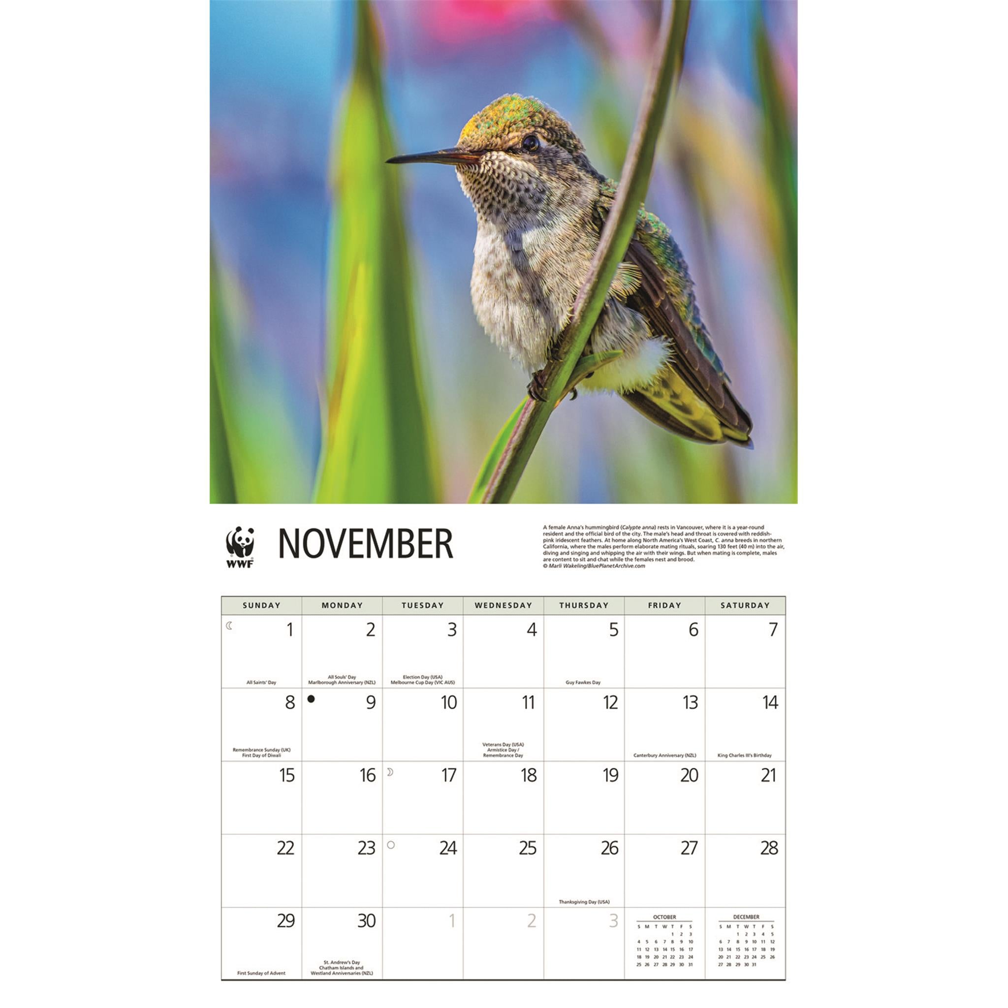 Calendrier mural 2026 du Fonds mondial pour la nature (WWF) sur les colibris