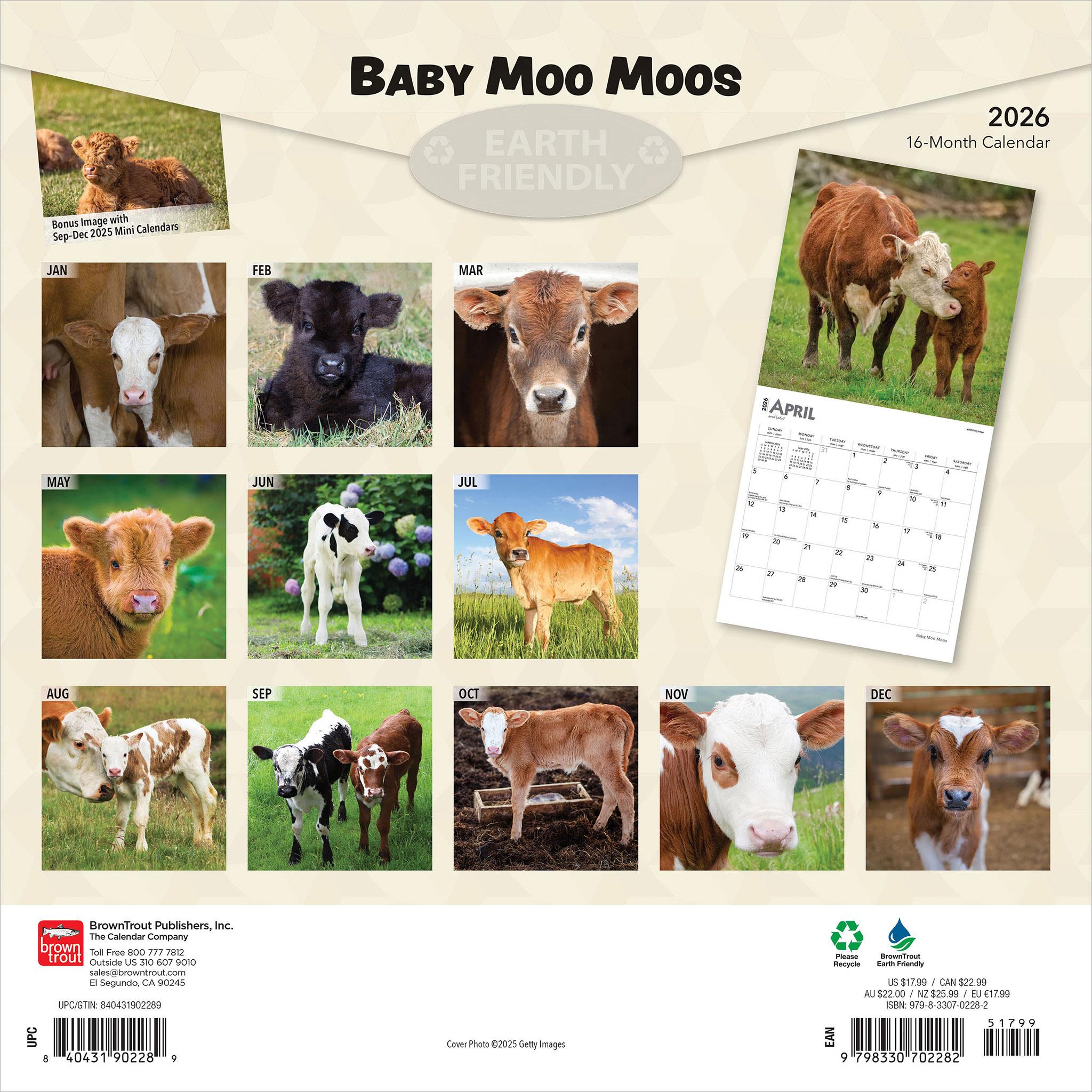 Calendrier mural Baby Moo Moos 2026 - Disponible uniquement en ligne
