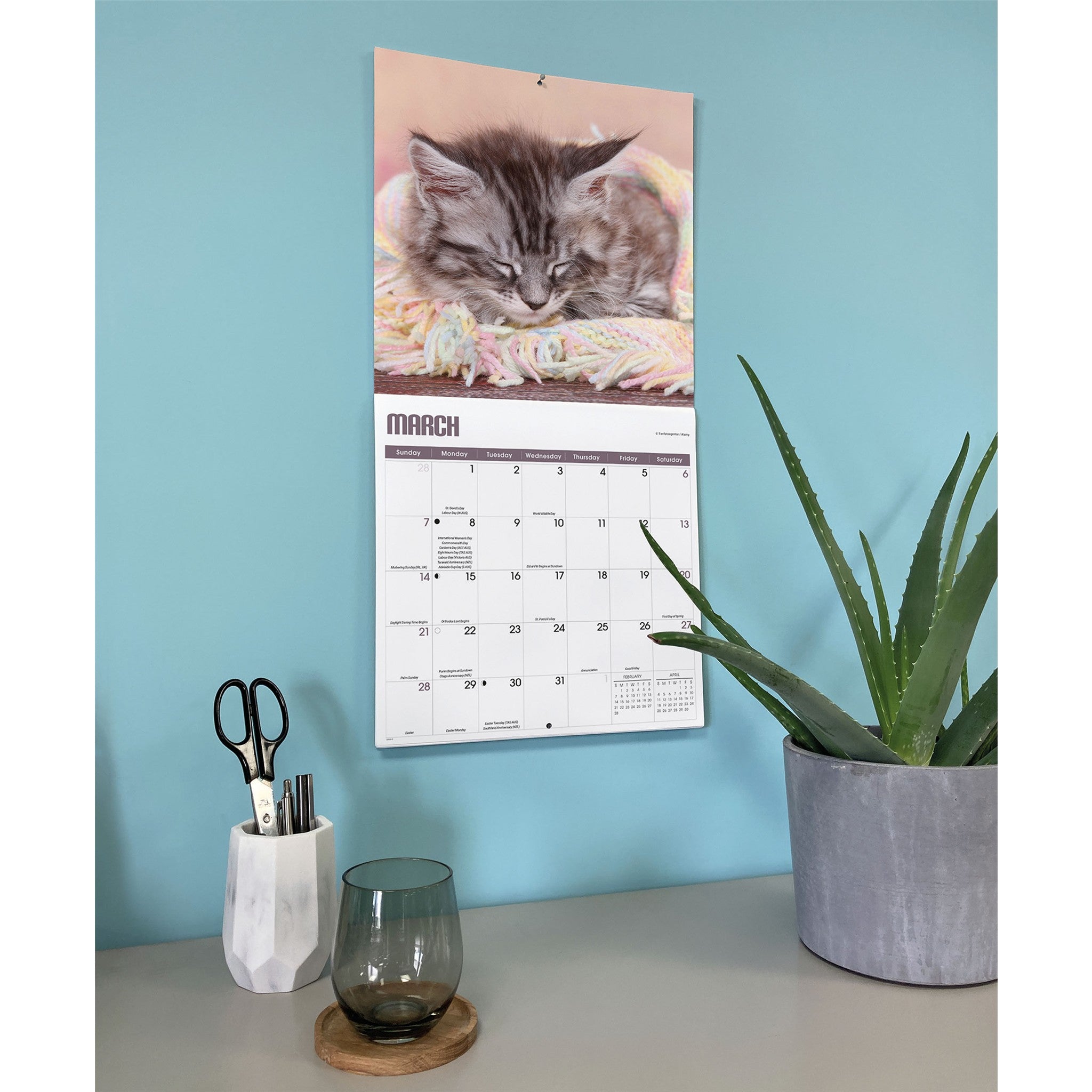 Calendrier mural 2027 : Siestes de chatons