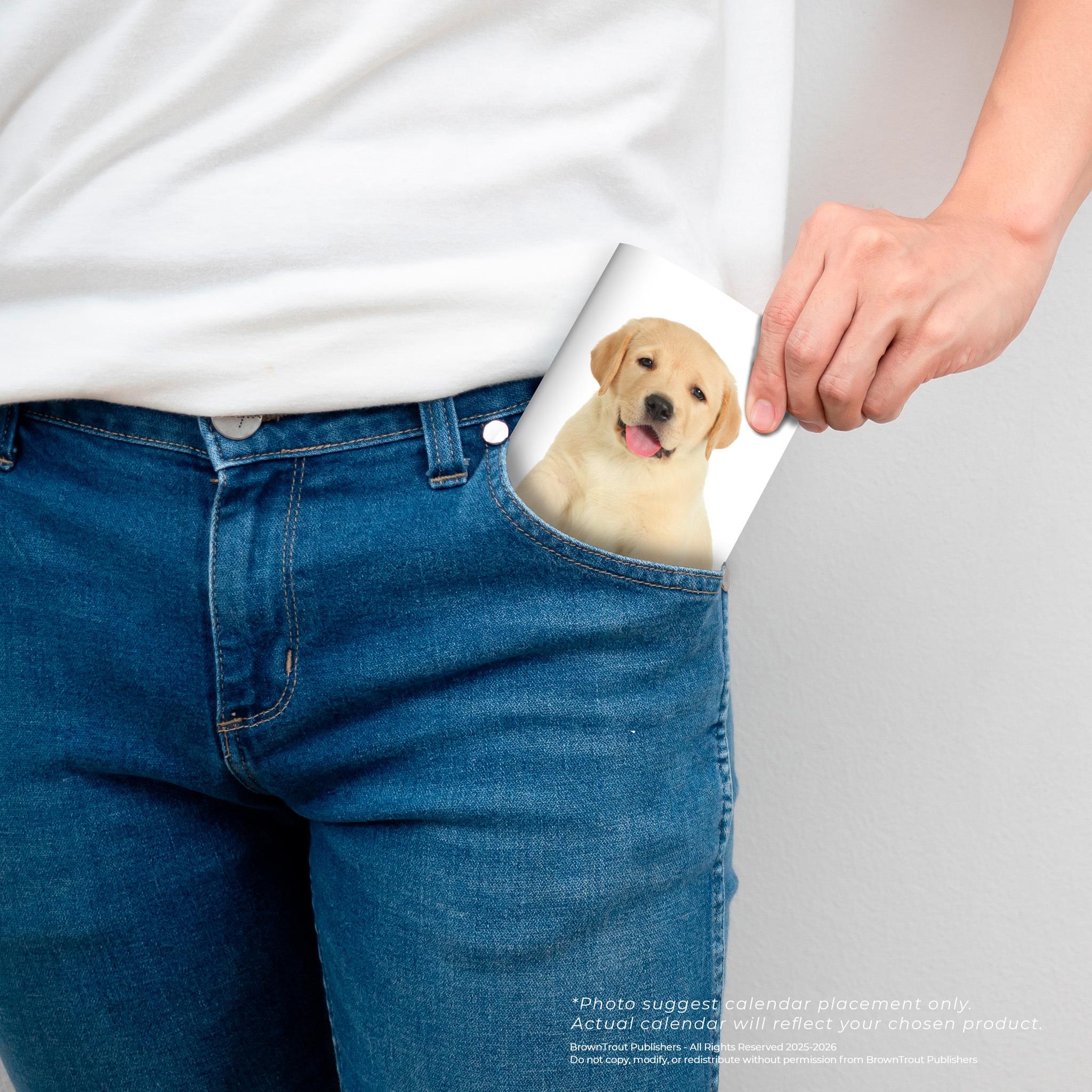 Puppies I Love 2026 2 Yr Pocket Planner Calendar