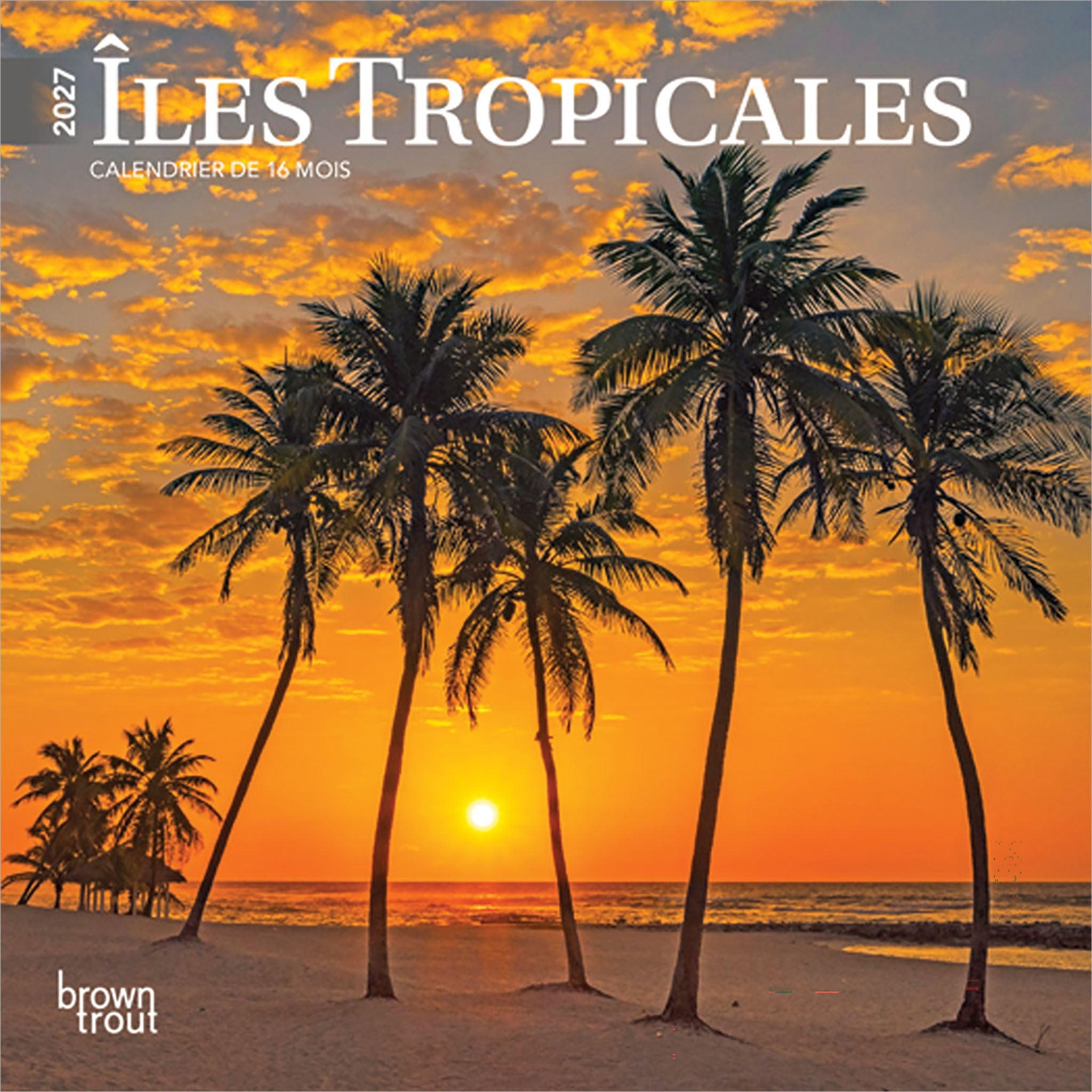Iles Tropicales 2027 Mini Calendar (French)