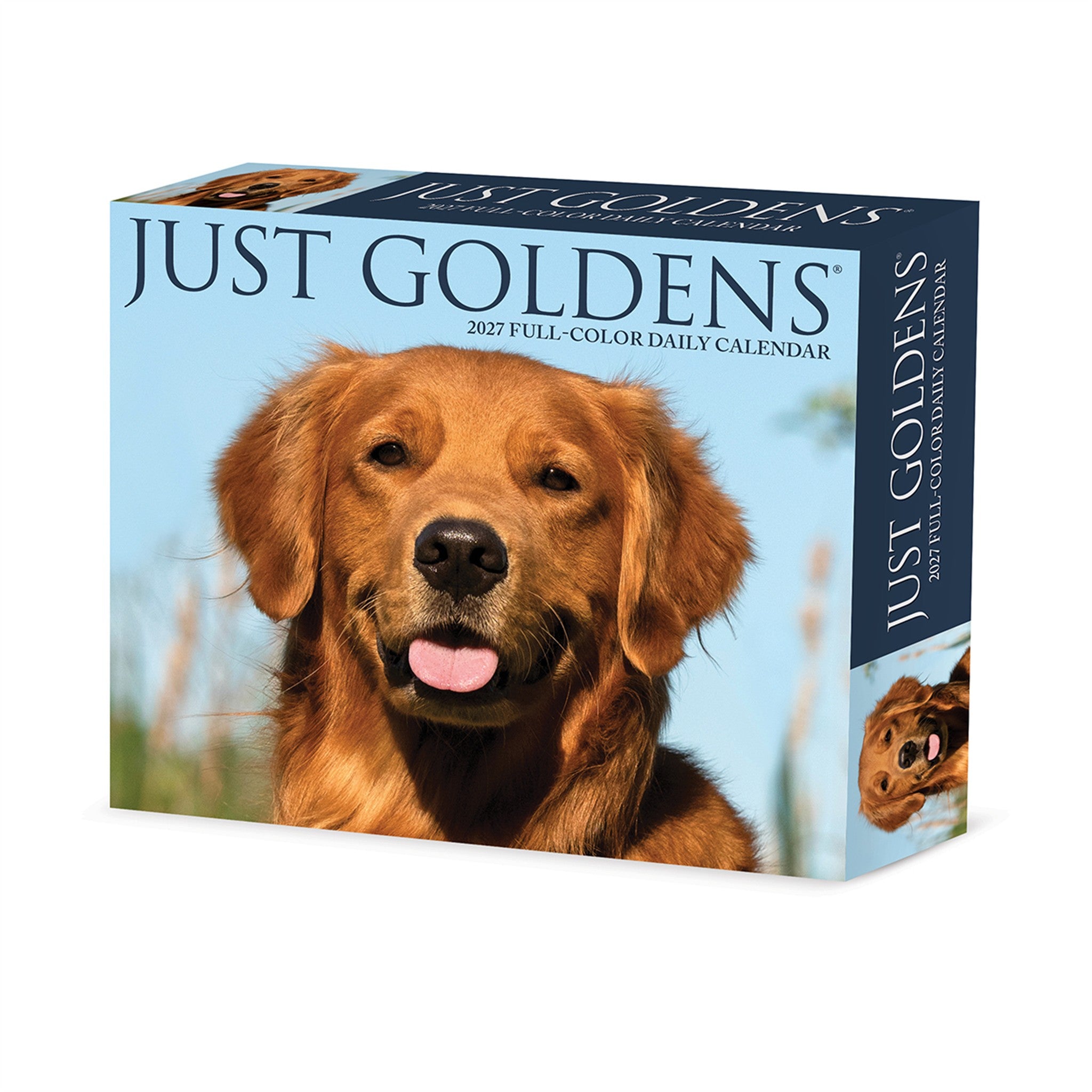 Goldens 2027 Box Calendar