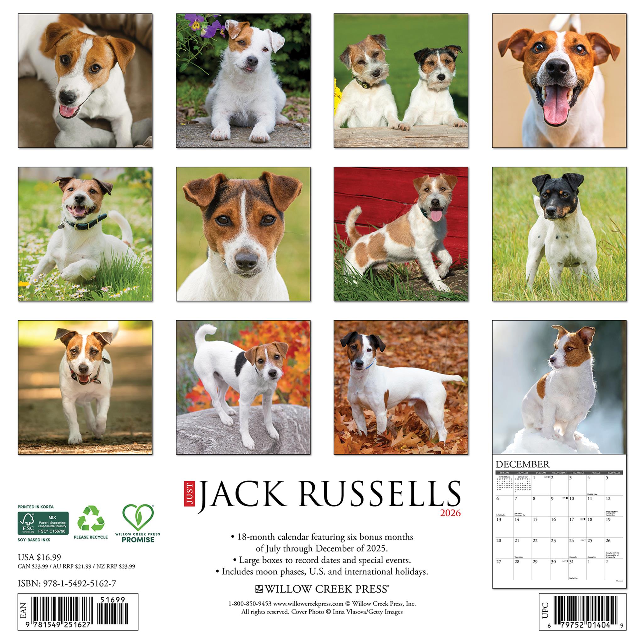 Calendrier mural Just Jack Russells 2026