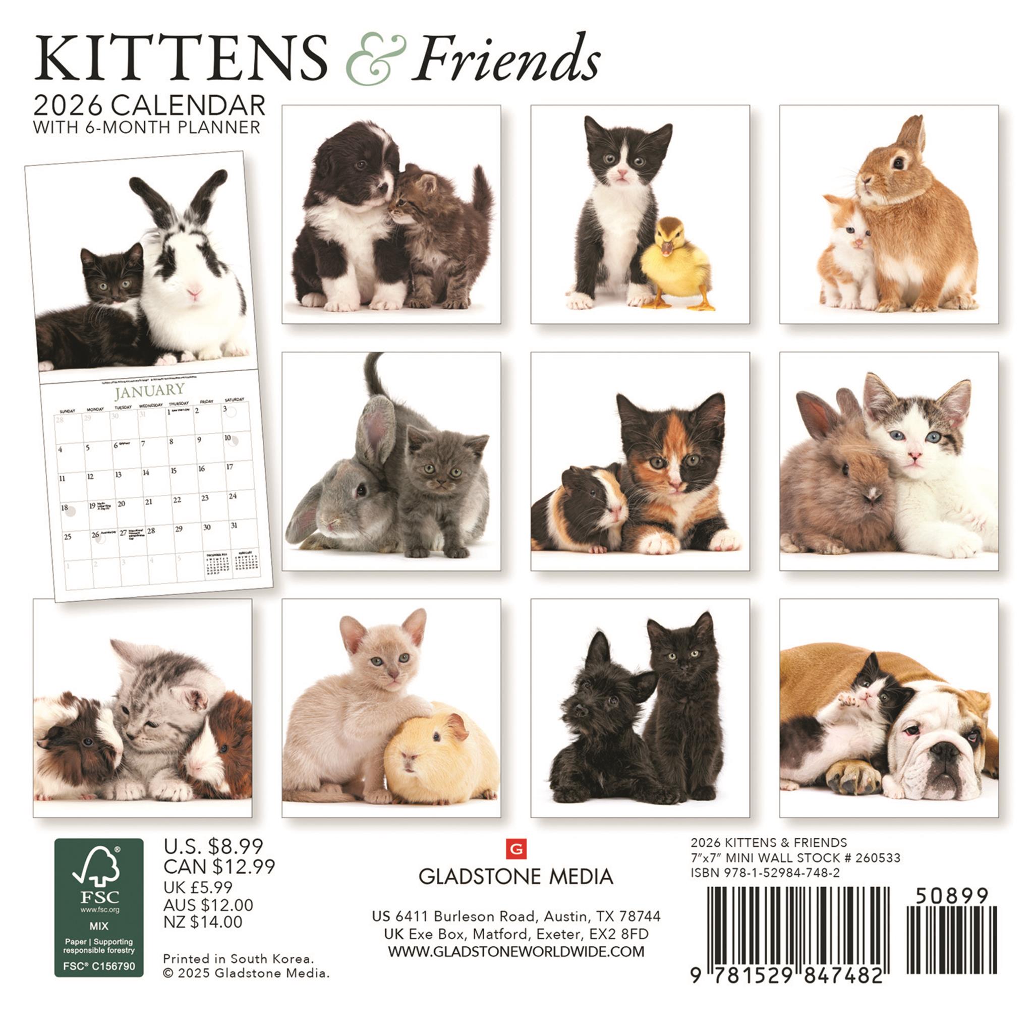 Mini calendrier 2026 Chatons et leurs amis