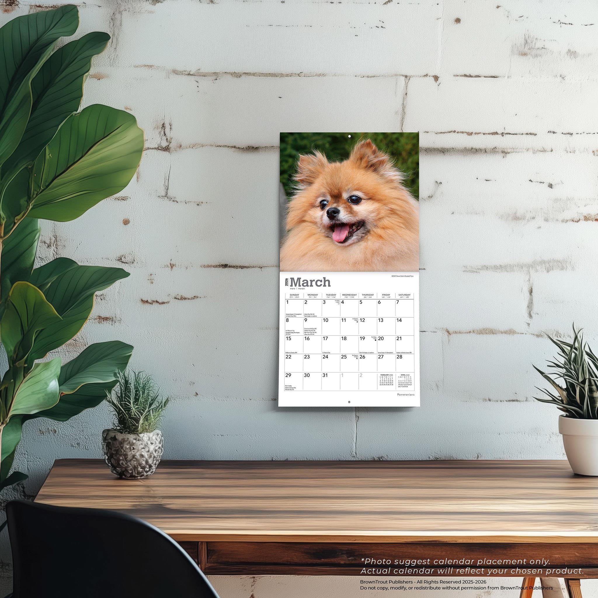 Pomeranians 2026 Mini Calendar