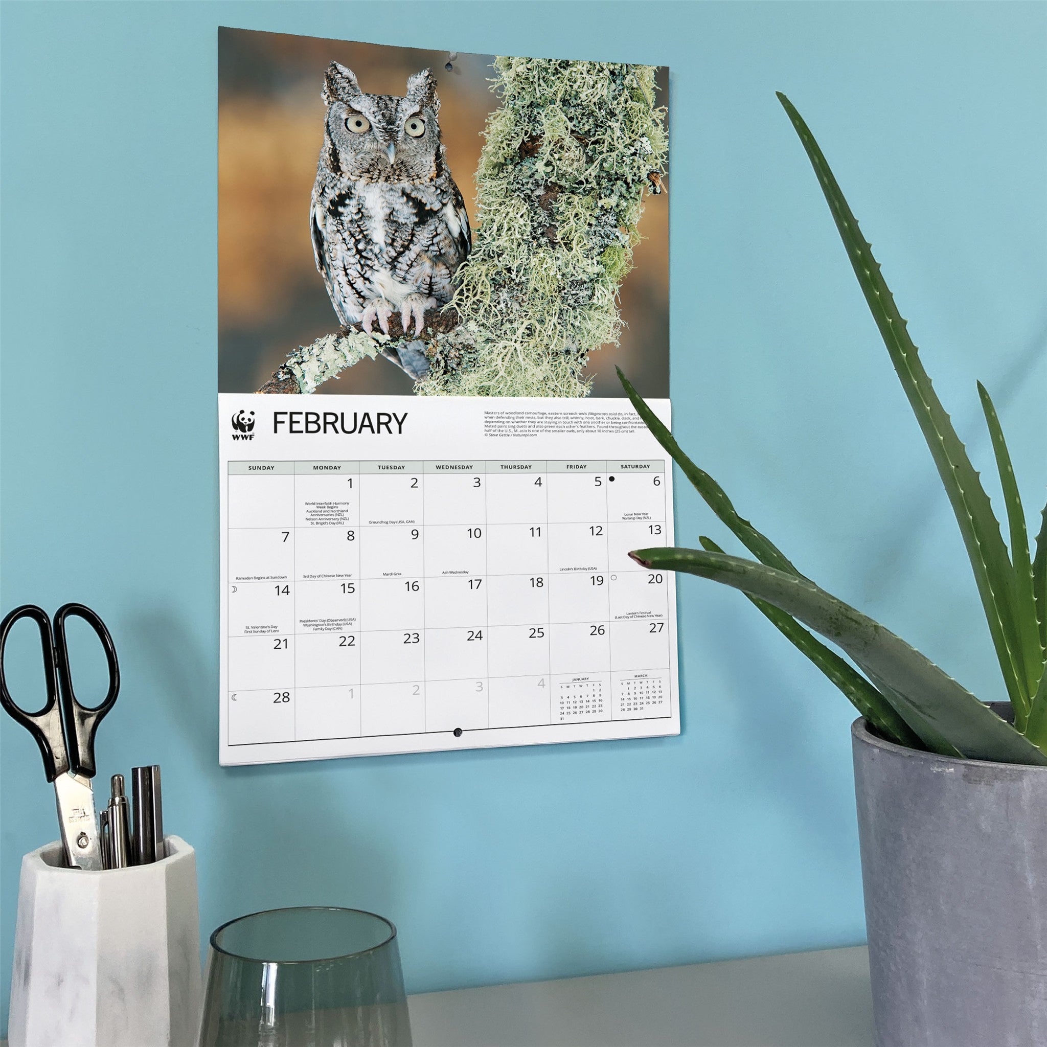 Calendrier mural 2027 Les hiboux du WWF