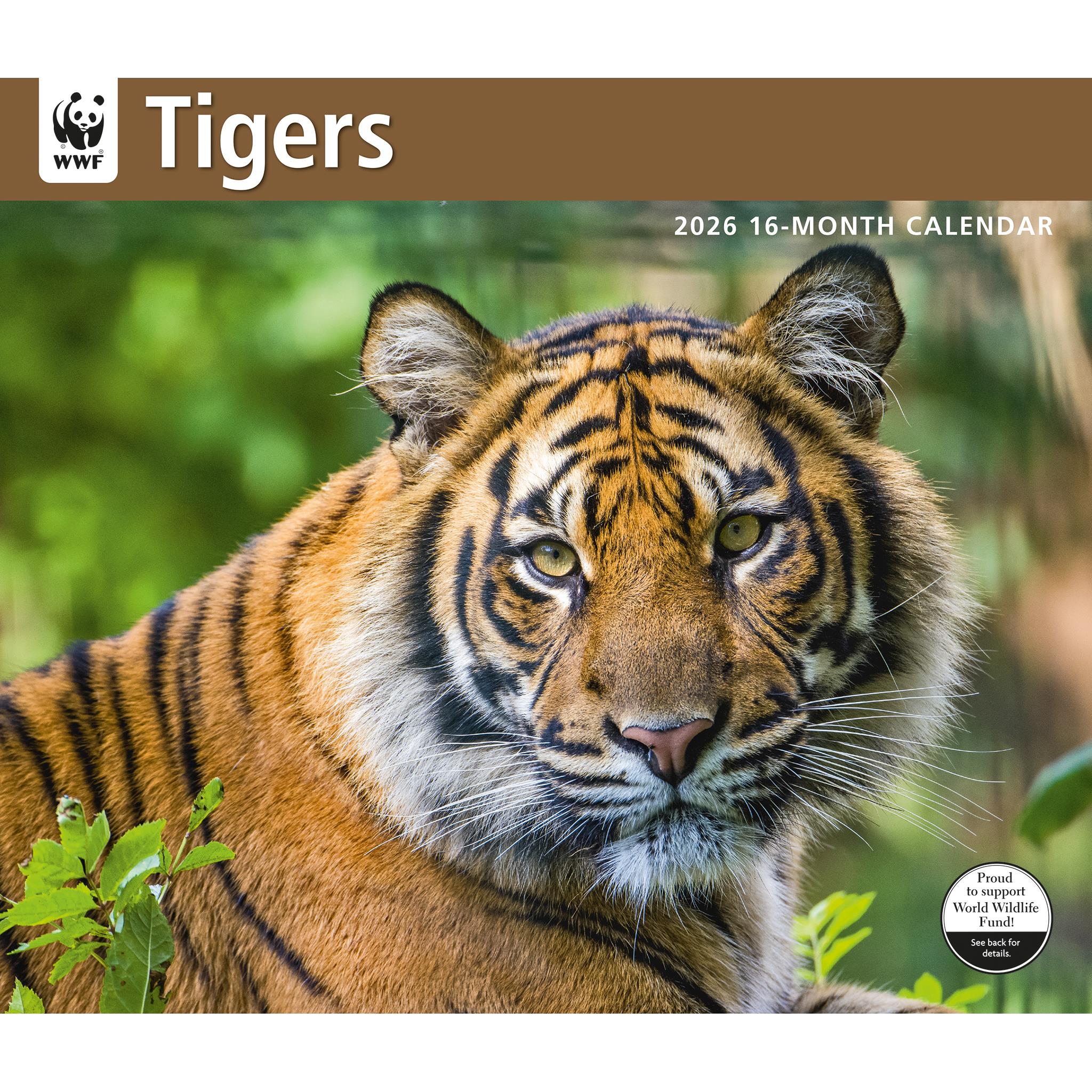 Calendrier mural Tigres 2026 du Fonds mondial pour la nature