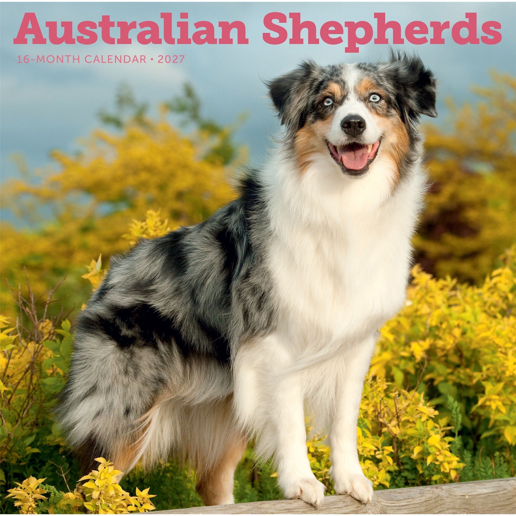 Calendrier mural Bergers australiens 2027