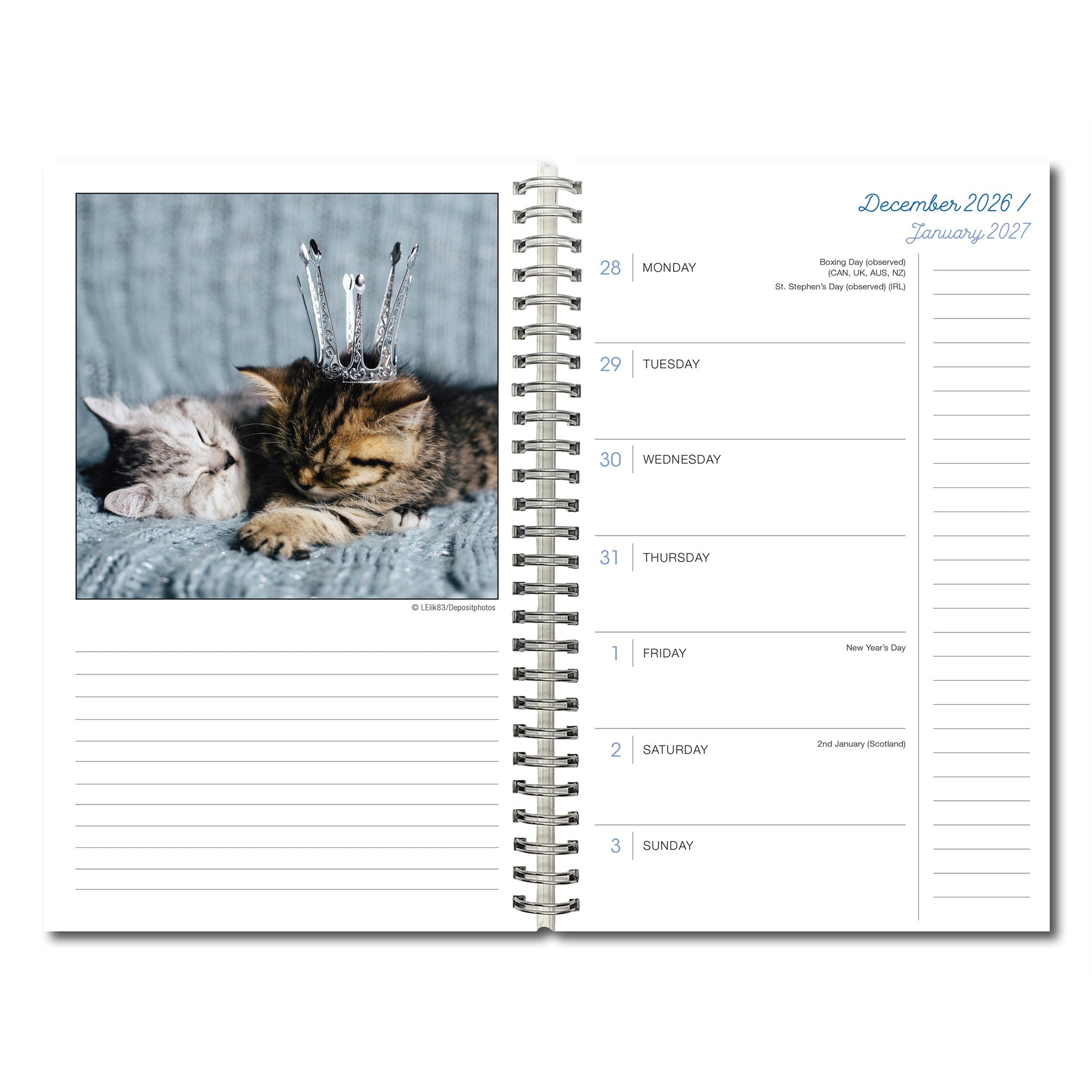 Cat Naps 2027 Engagement Calendar