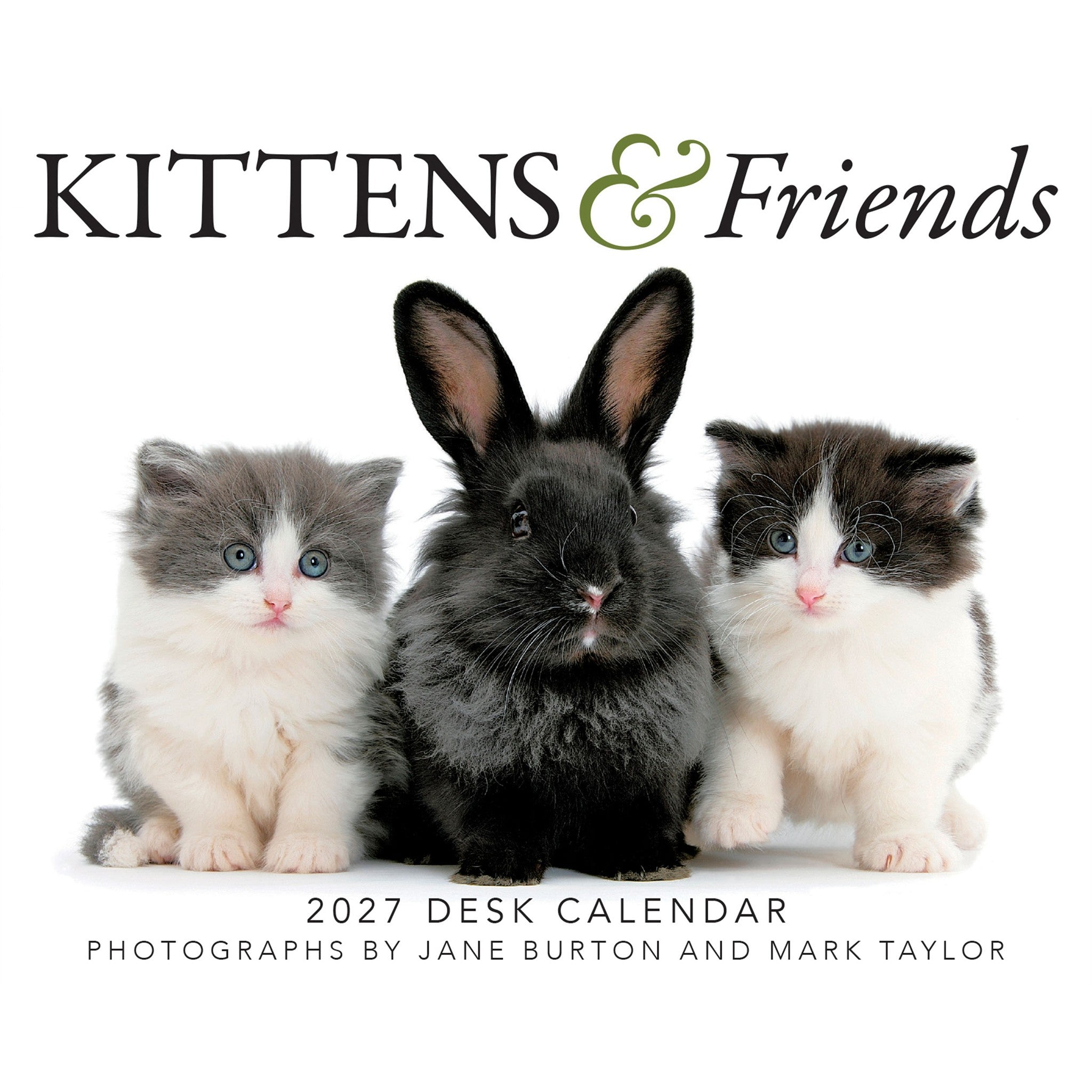 Calendrier de bureau Chatons et amis 2027
