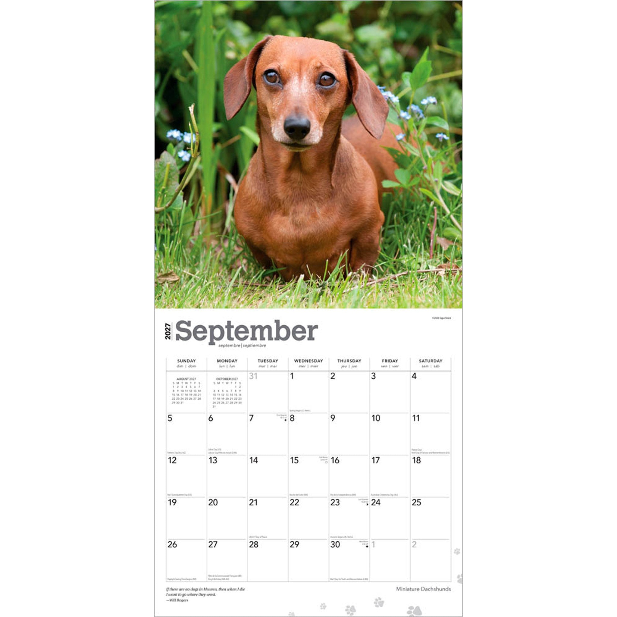 Miniature Dachshunds 2027 Wall Calendar