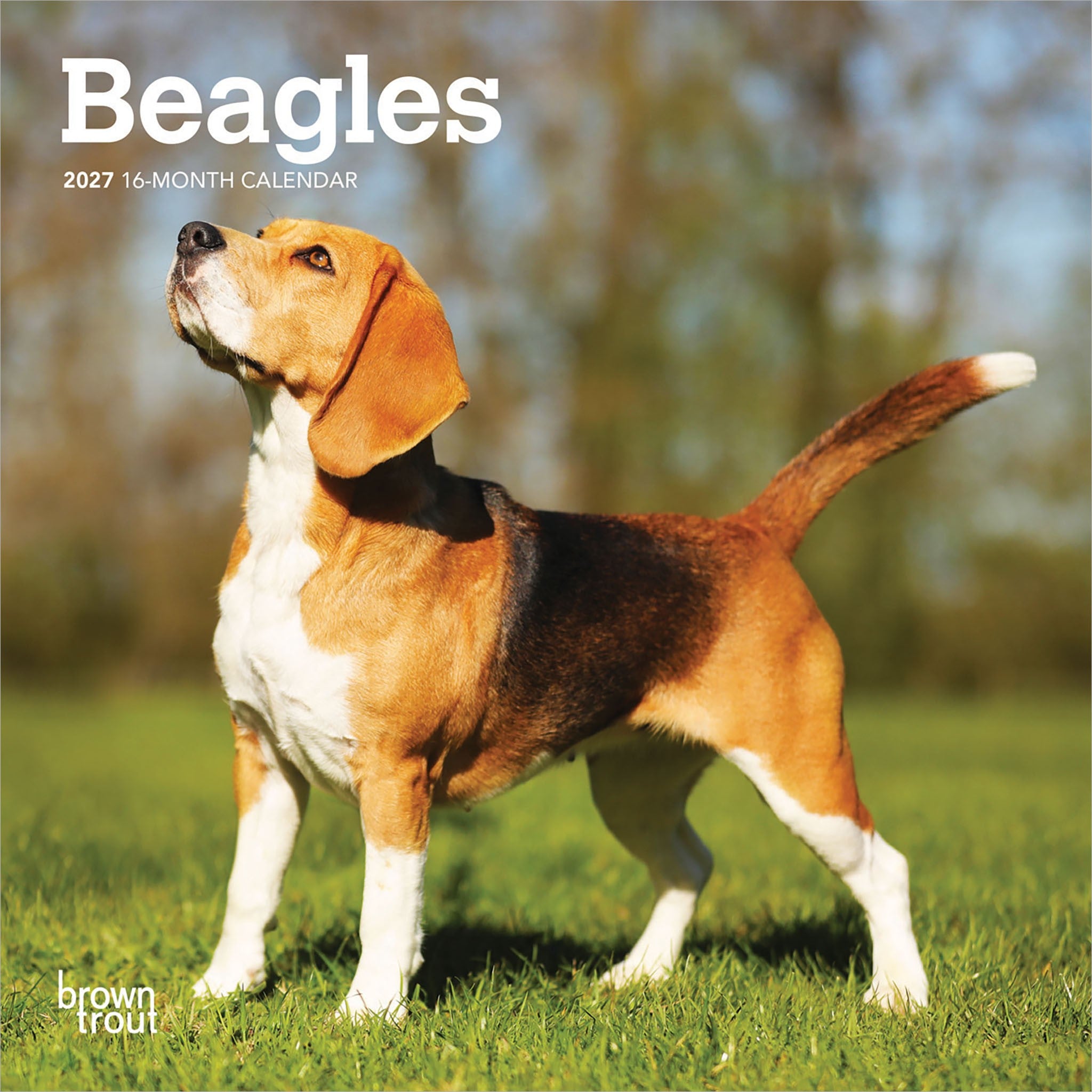 Beagles 2027 Mini Calendar