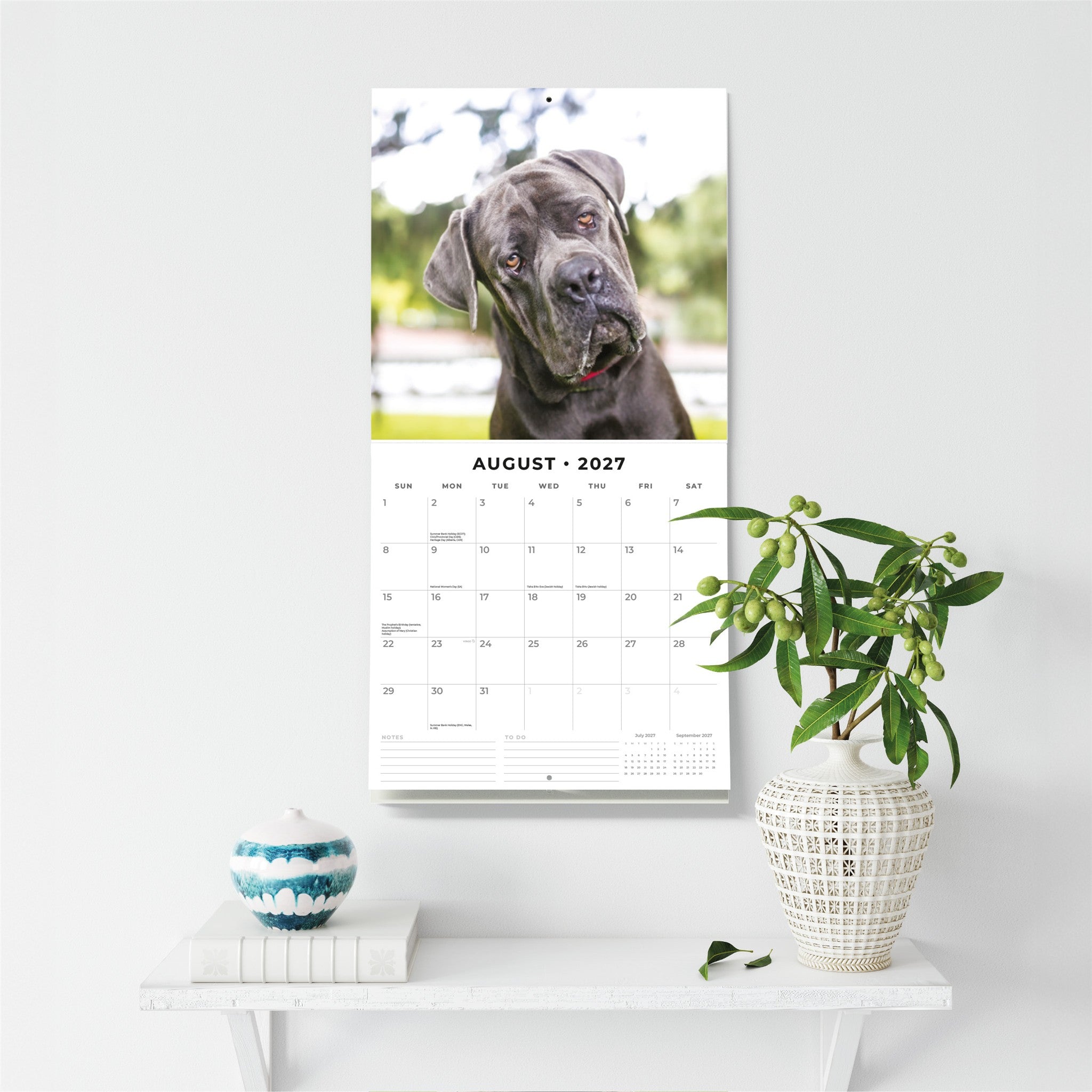 Calendrier mural Mastiffs 2027