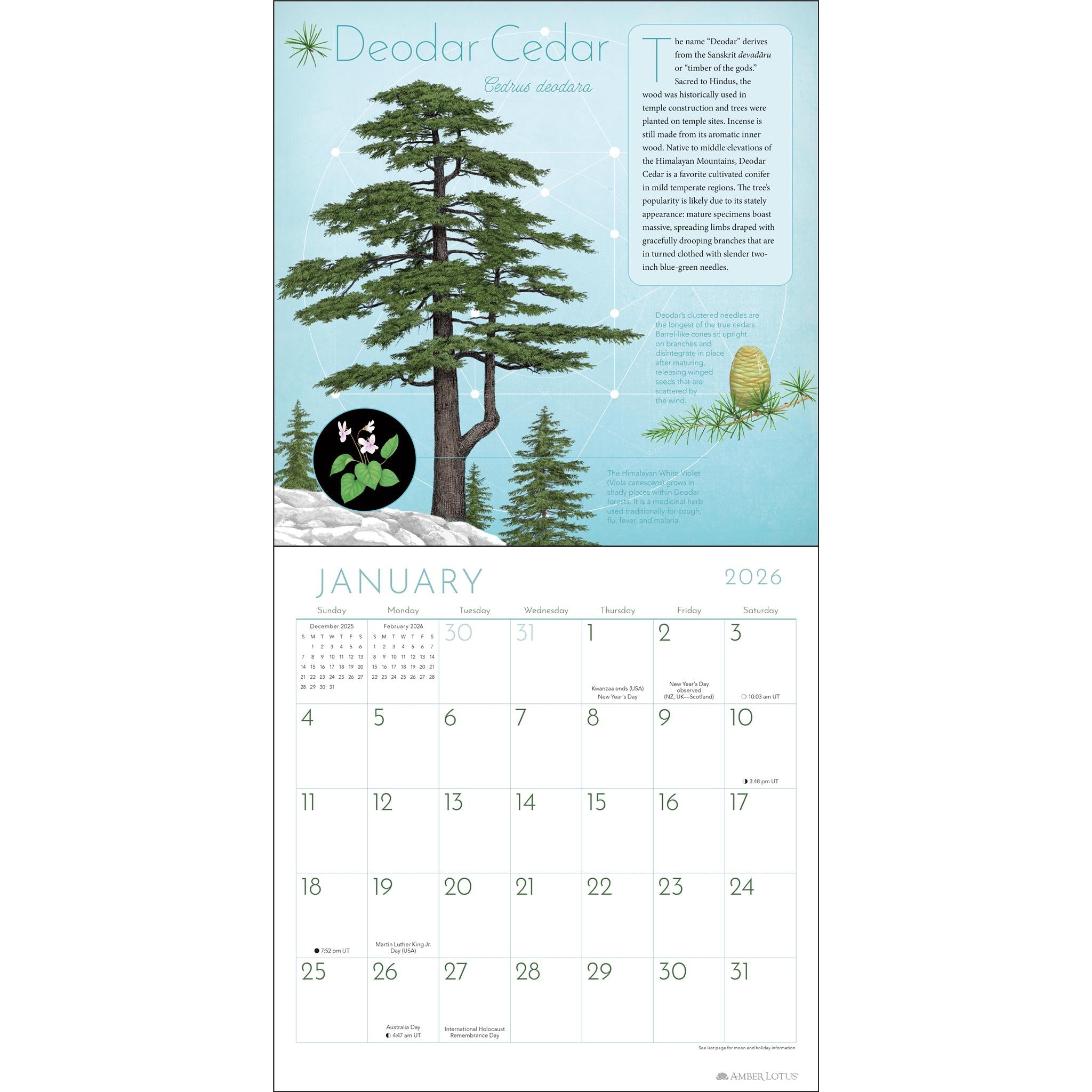 Calendrier mural Arbres de Vie 2026 - Disponible uniquement en ligne