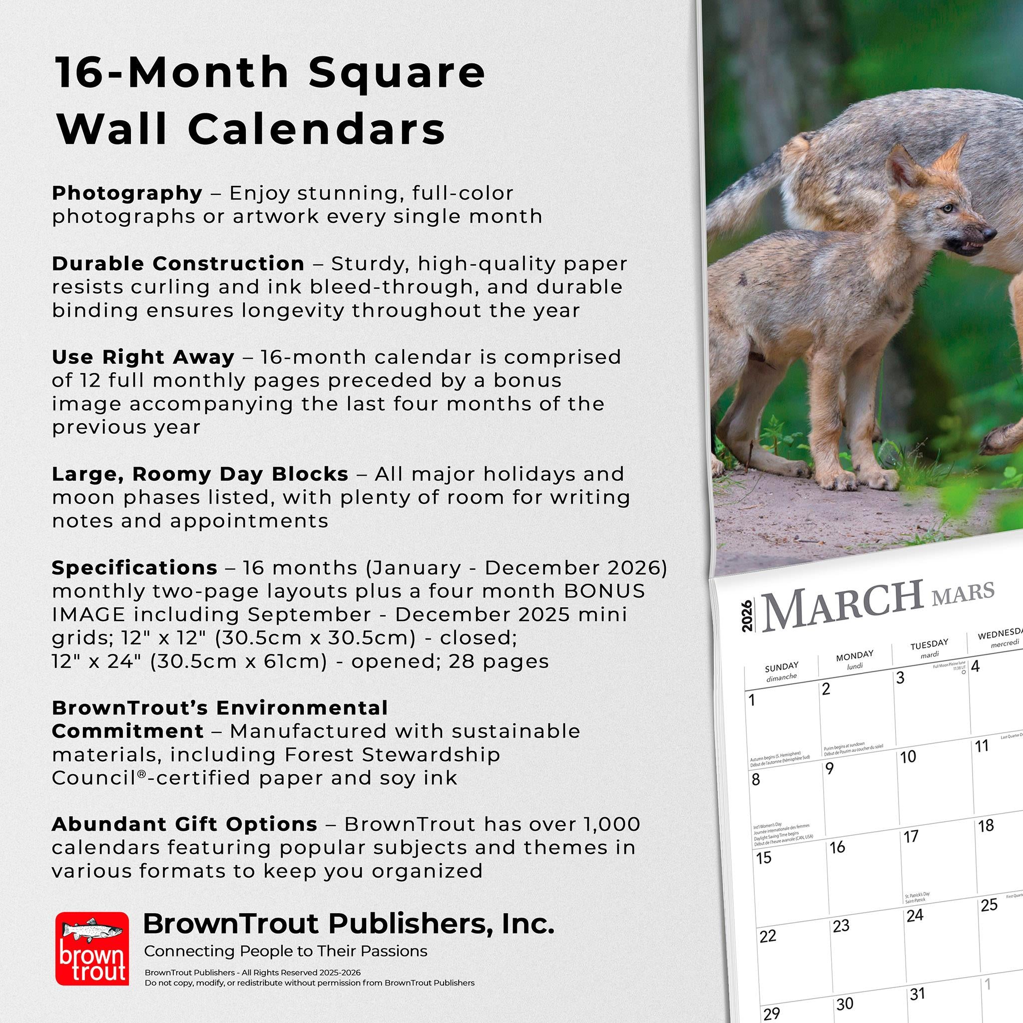 Calendrier mural Les Loups 2026 (français)