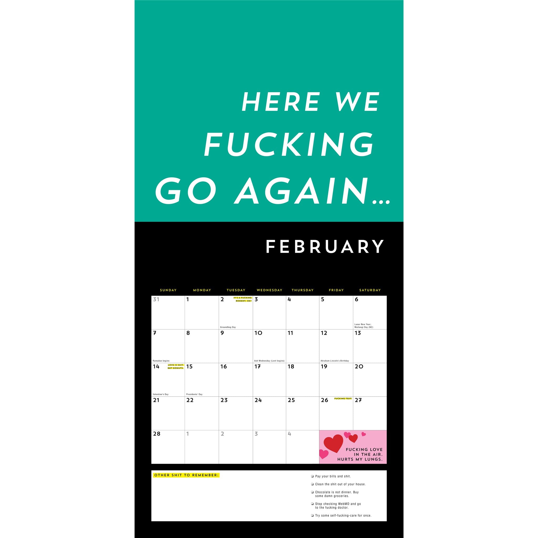 A Fucking Calendar 2027 Wall Calendar