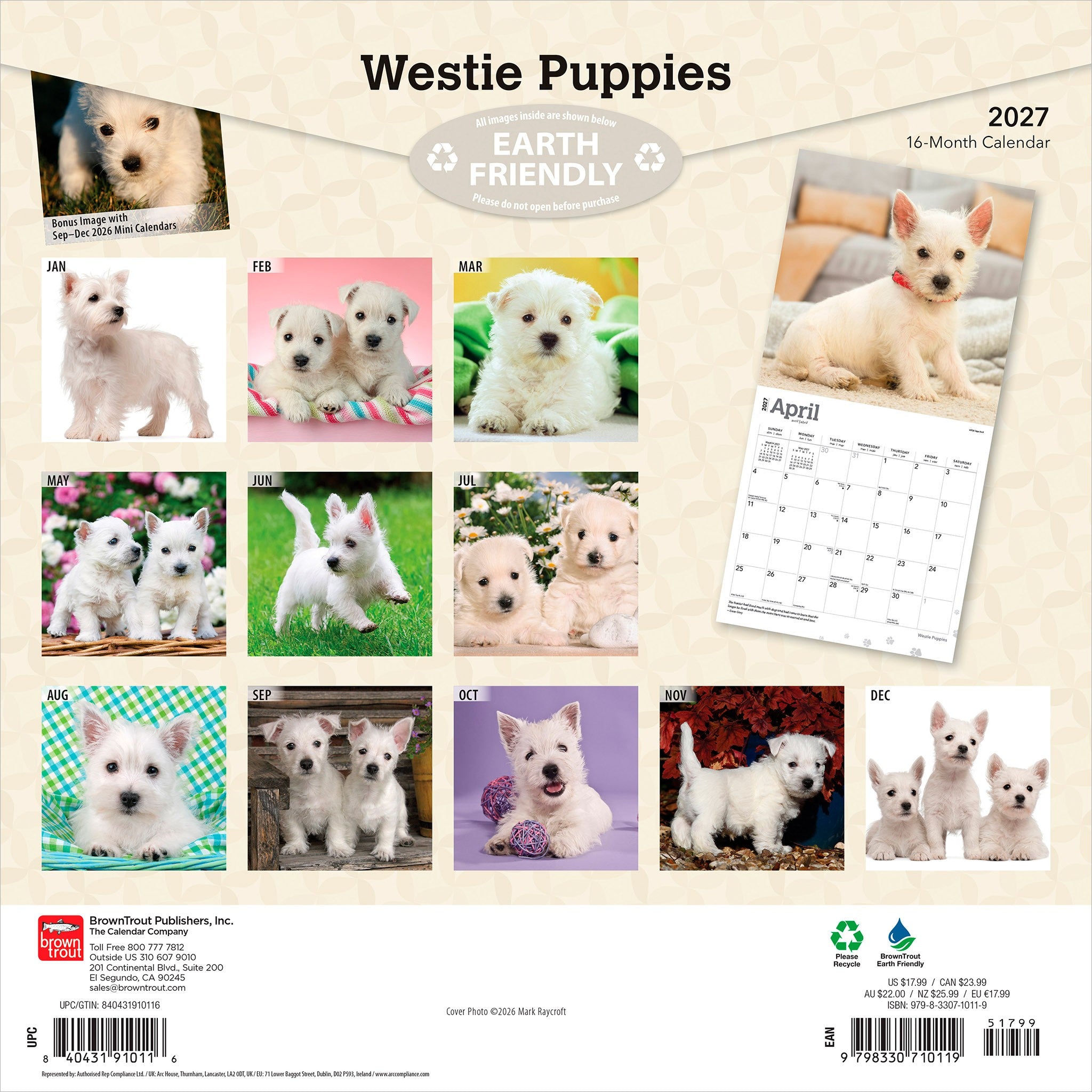 West Highland White Terrier Puppies 2027 Mini Calendar