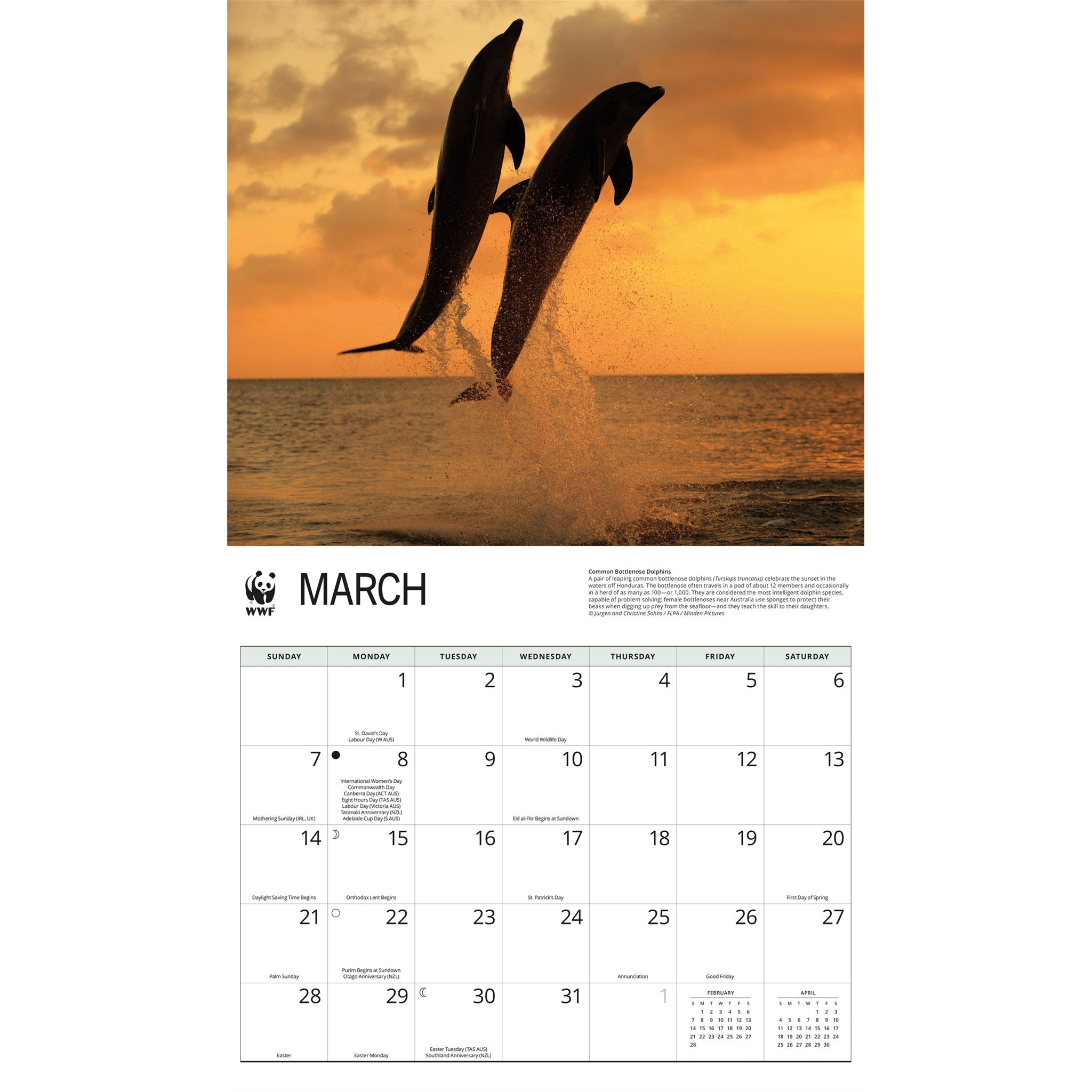 Calendrier mural 2027 Dauphins - WWF