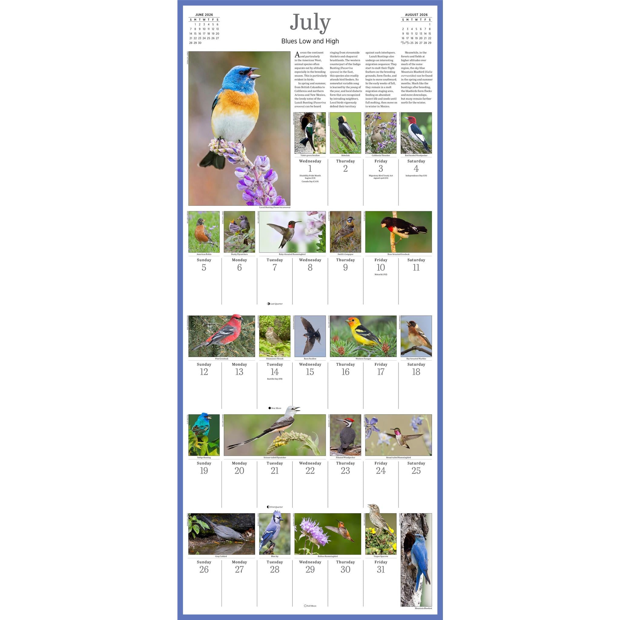 Calendrier mural Audubon Songbirds 365 2026