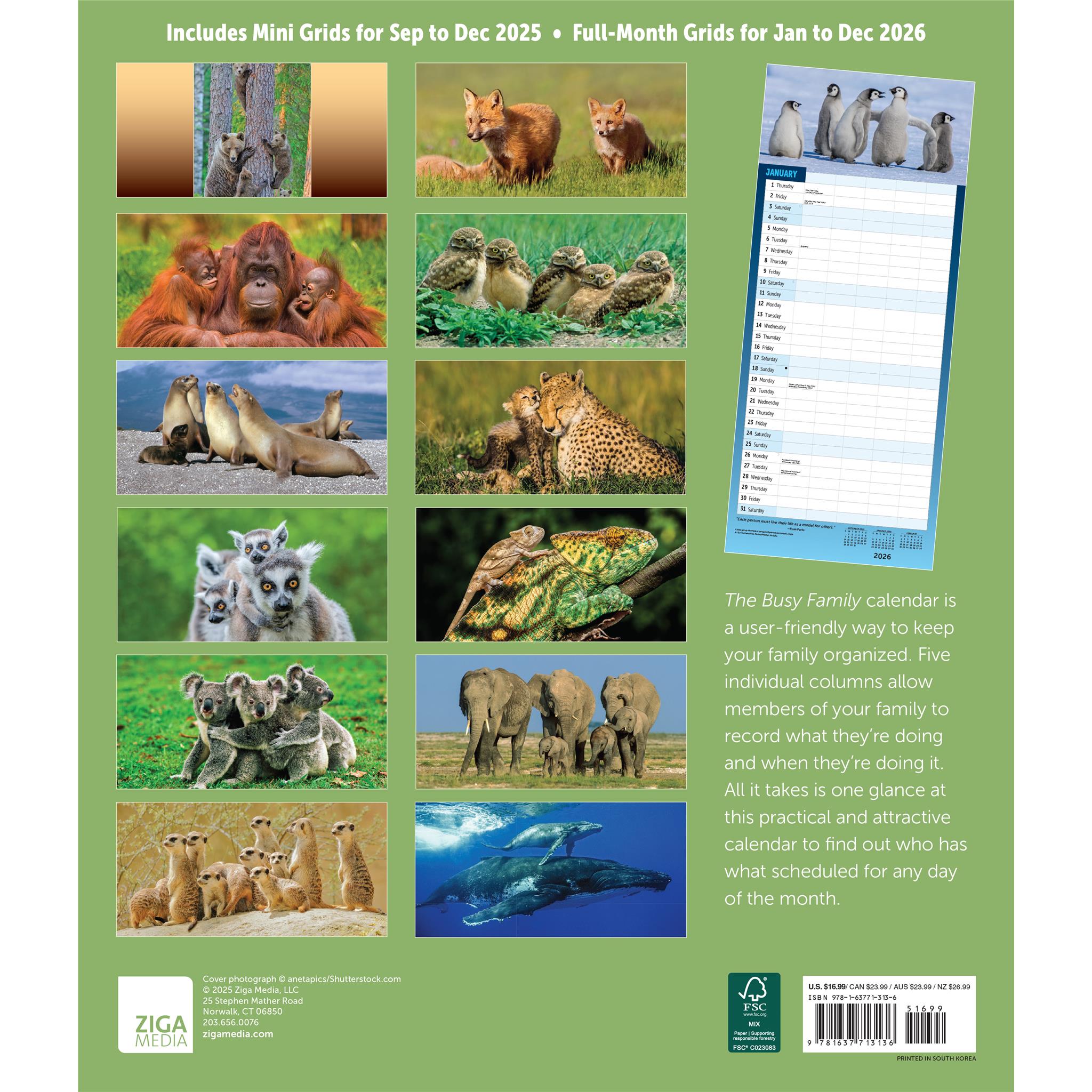 Busy Family 2026 Wall Calendar