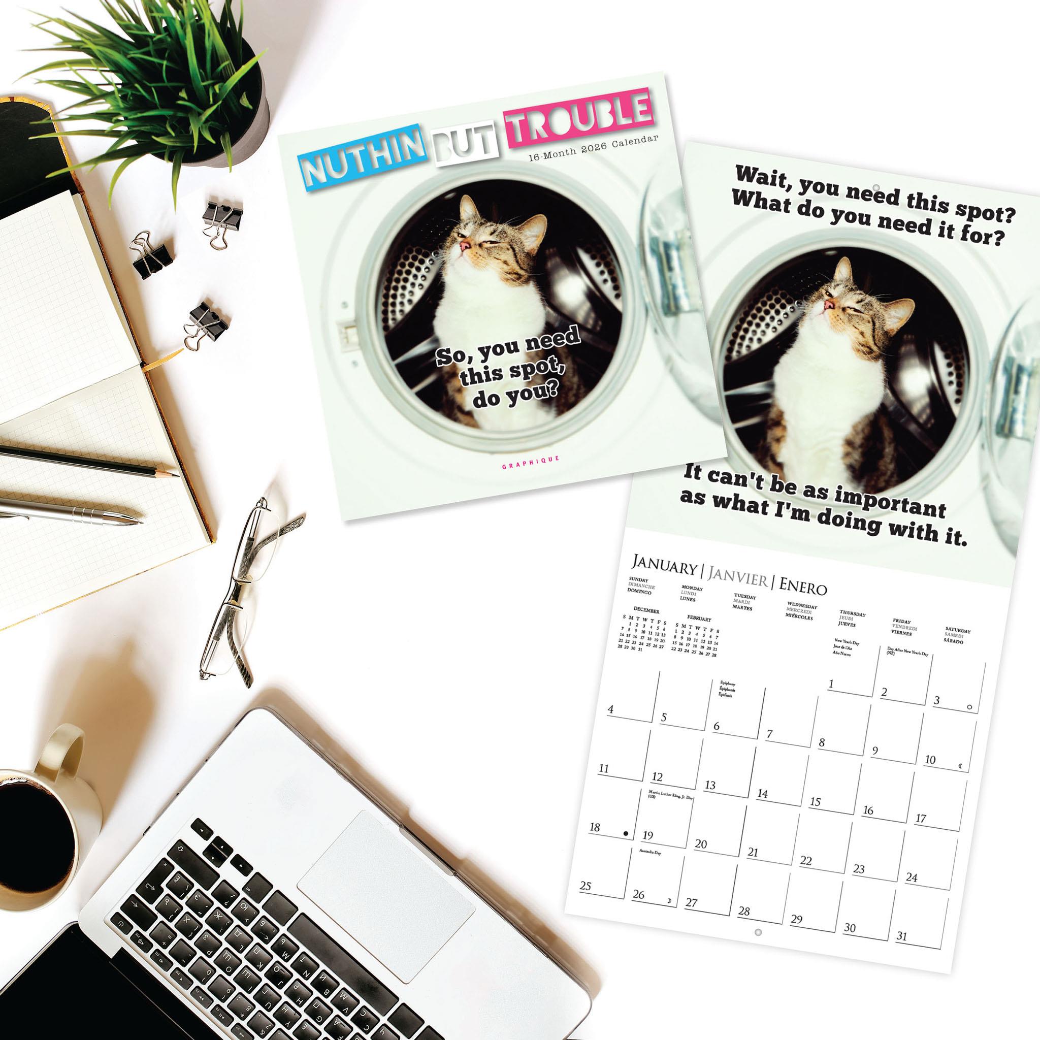 Mini-calendrier 2026 « Rien que des ennuis » - Disponible uniquement en ligne