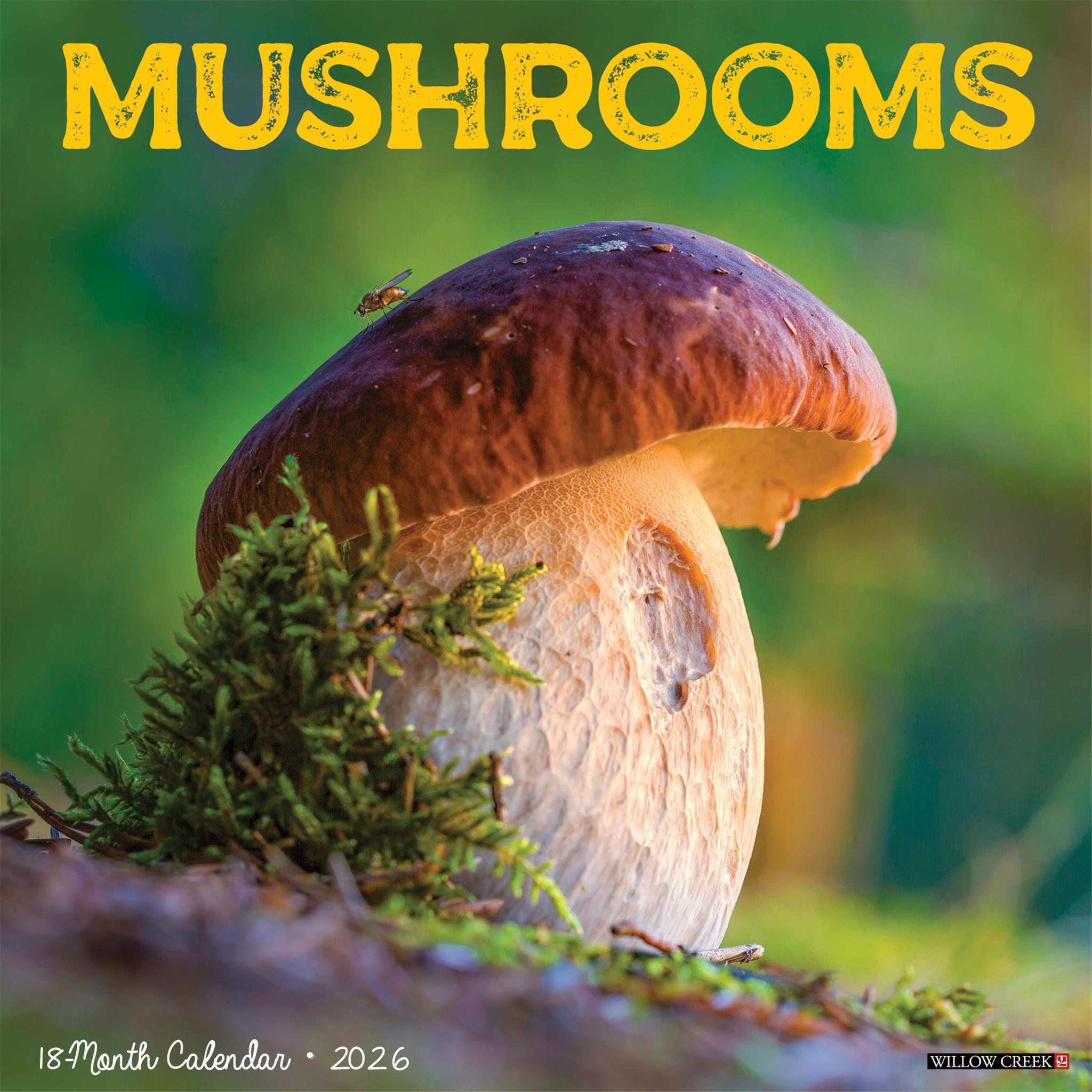 Champignons : L'Art du Calendrier Mural 2026 - Disponible uniquement en ligne