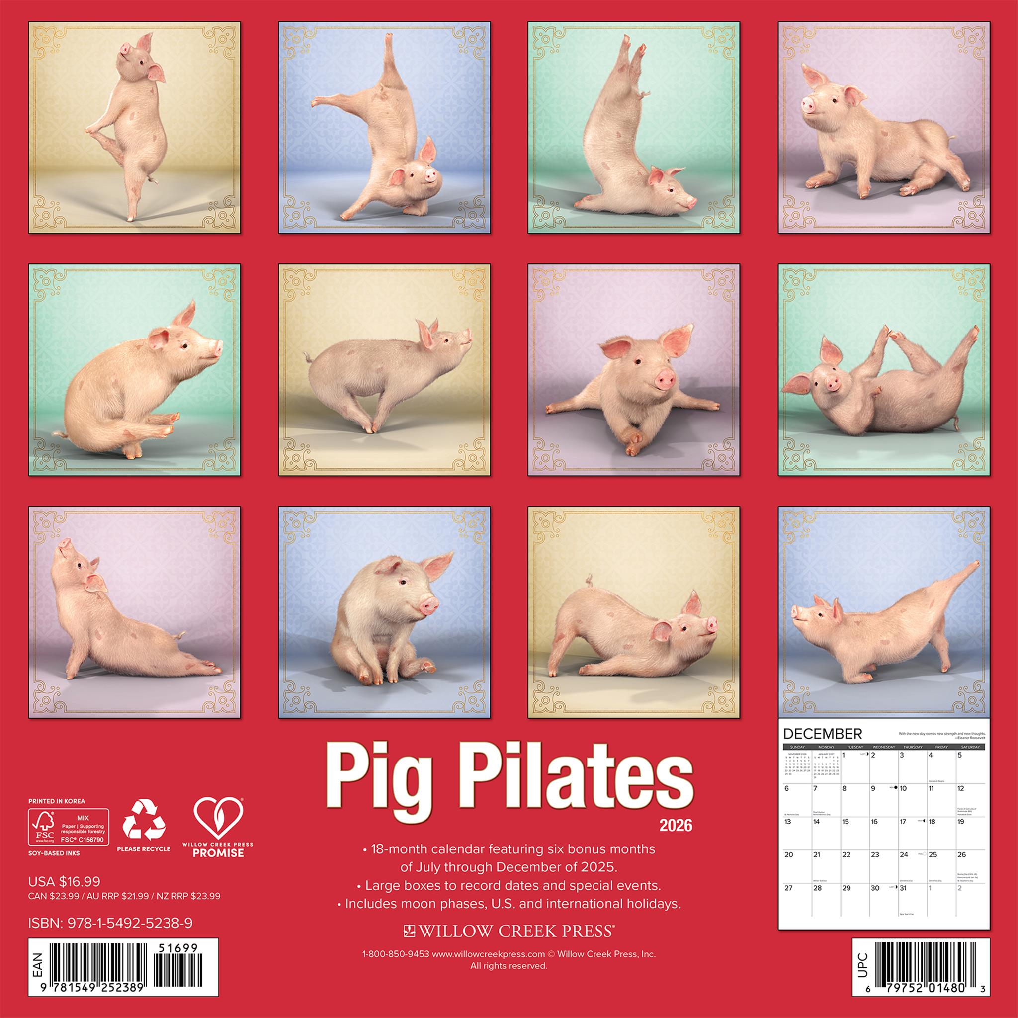 Calendrier mural Pig Pilates 2026