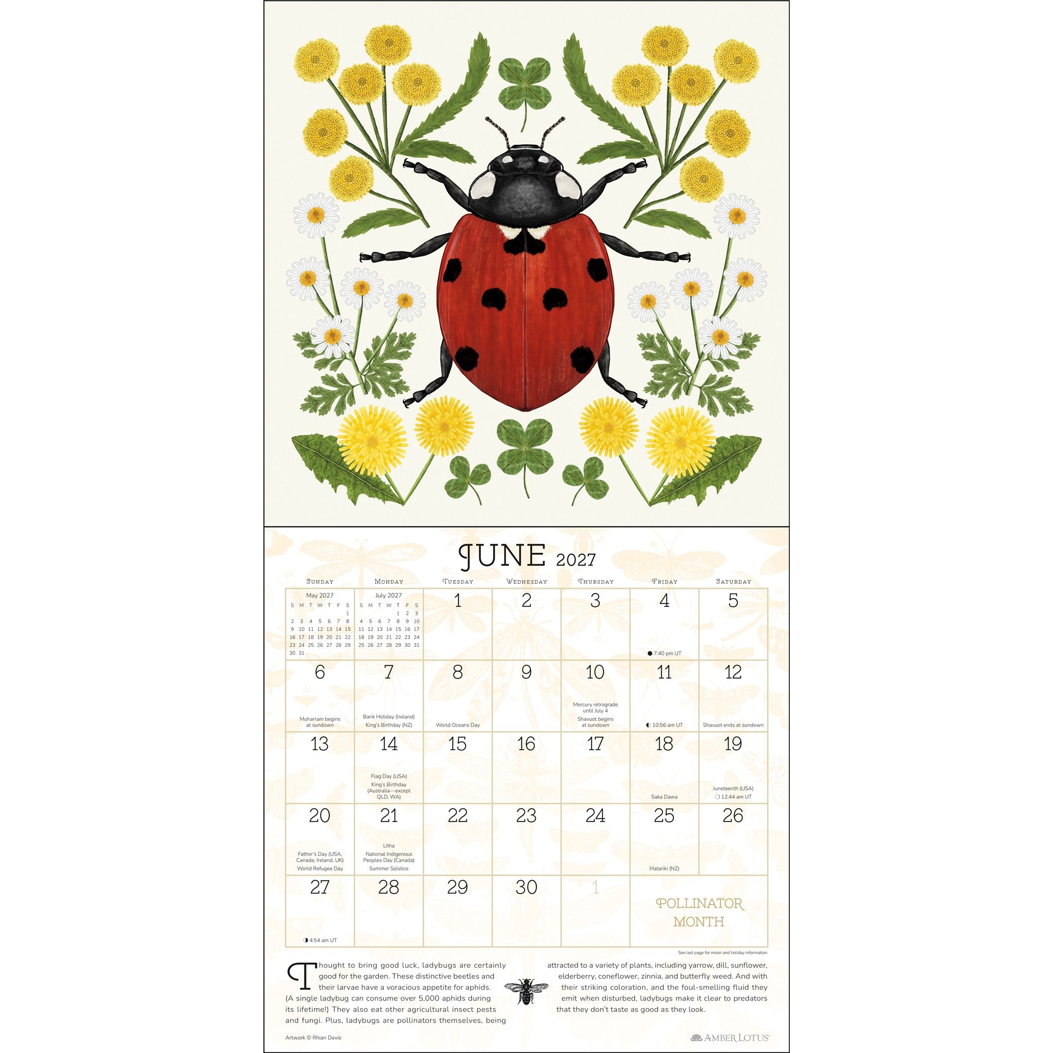 Éloges pour le calendrier mural 2027 des Pollinisateurs – en ligne uniquement