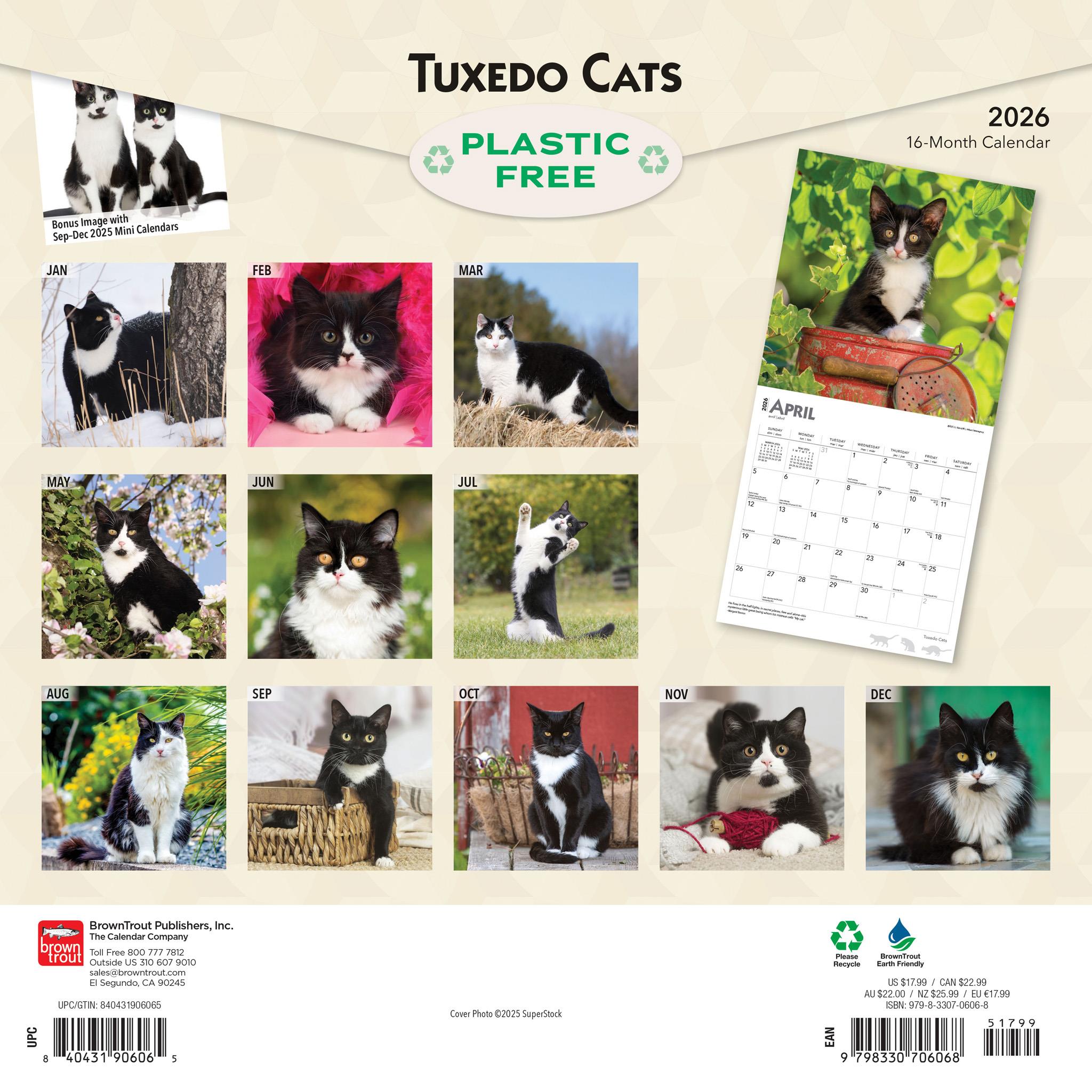 Calendrier mural Tuxedo Cats 2026