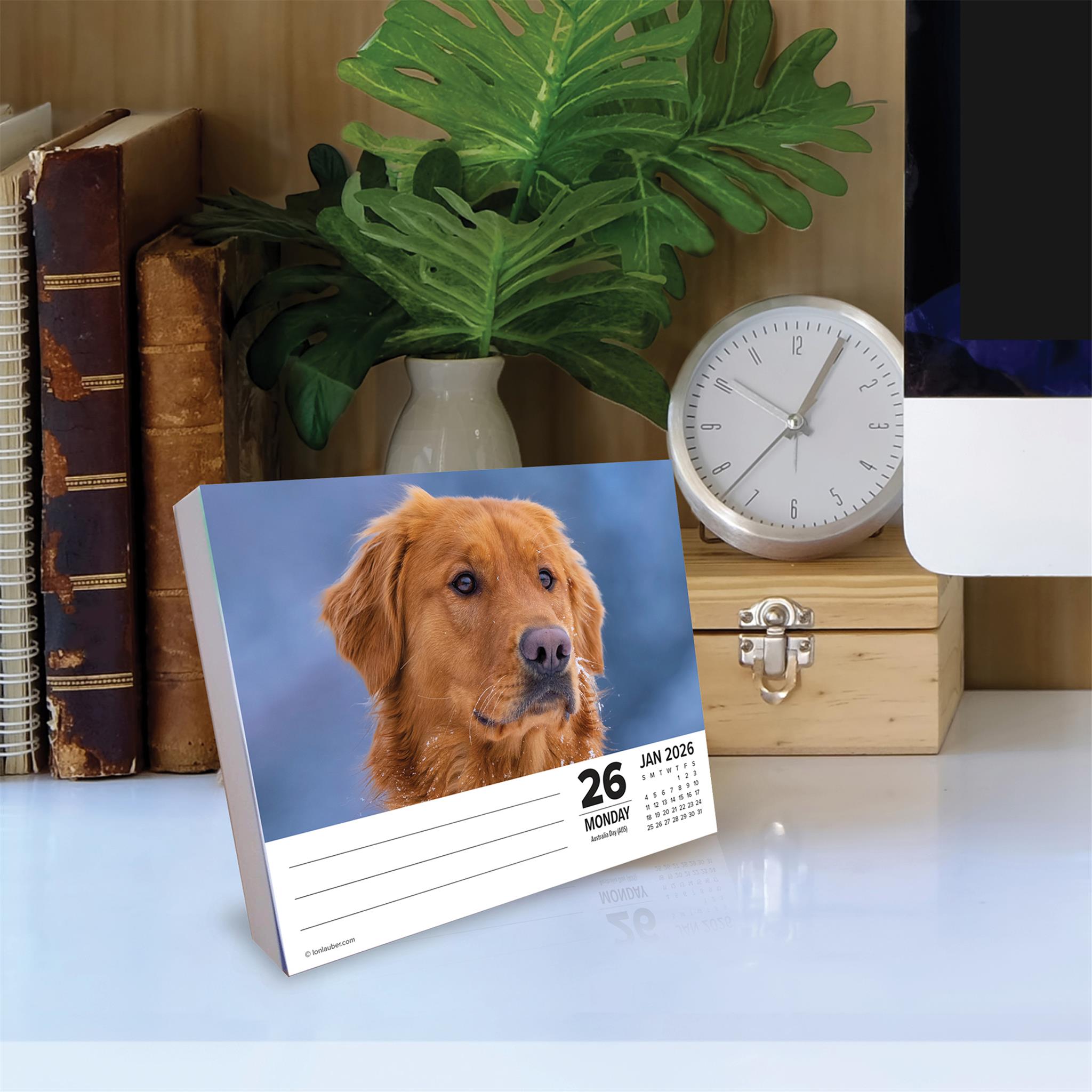 Goldens 2026 Just Box Calendar