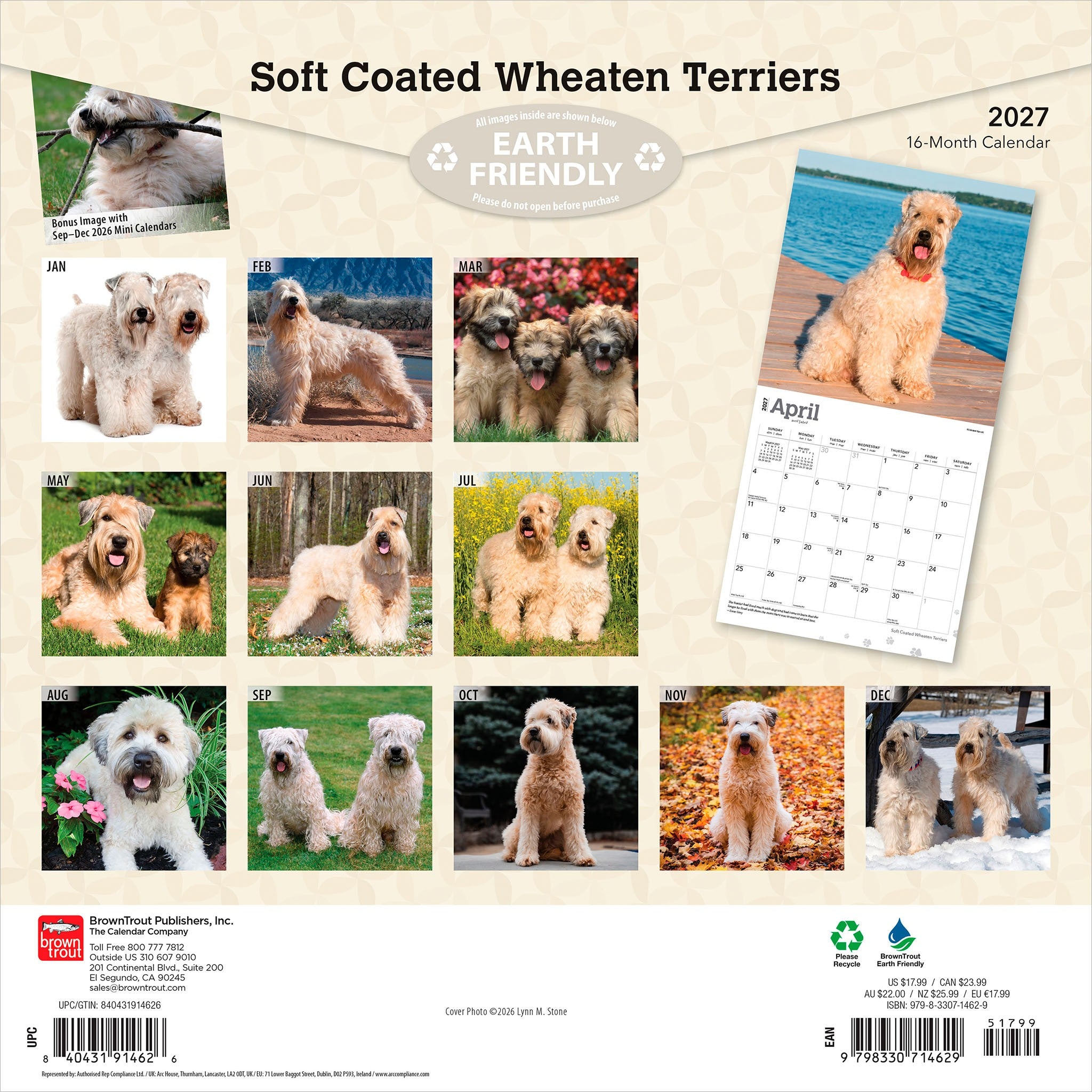 Soft Coated Wheaten Terriers 2027 Wall Calendar