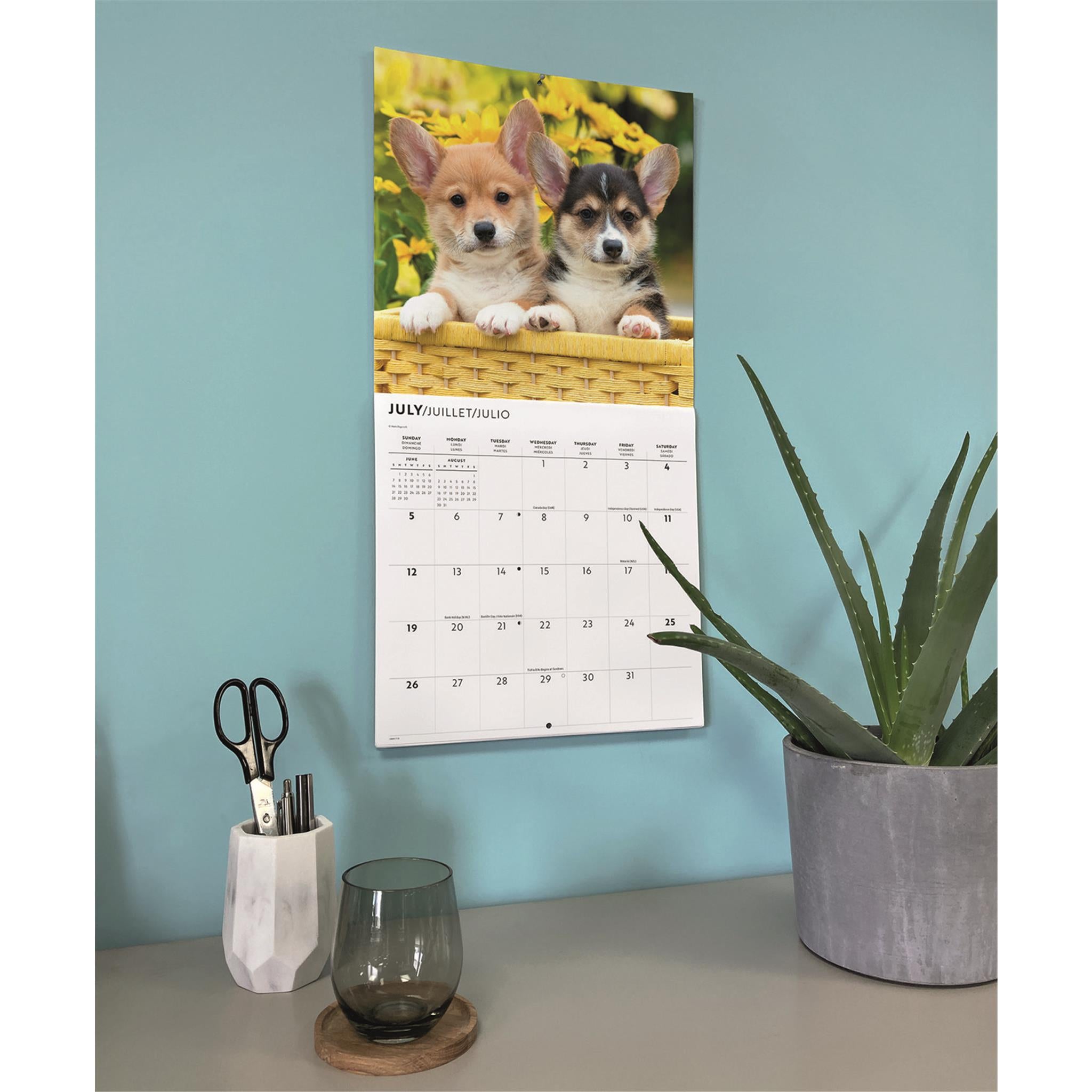 Corgi Puppies 2026 Wall Calendar