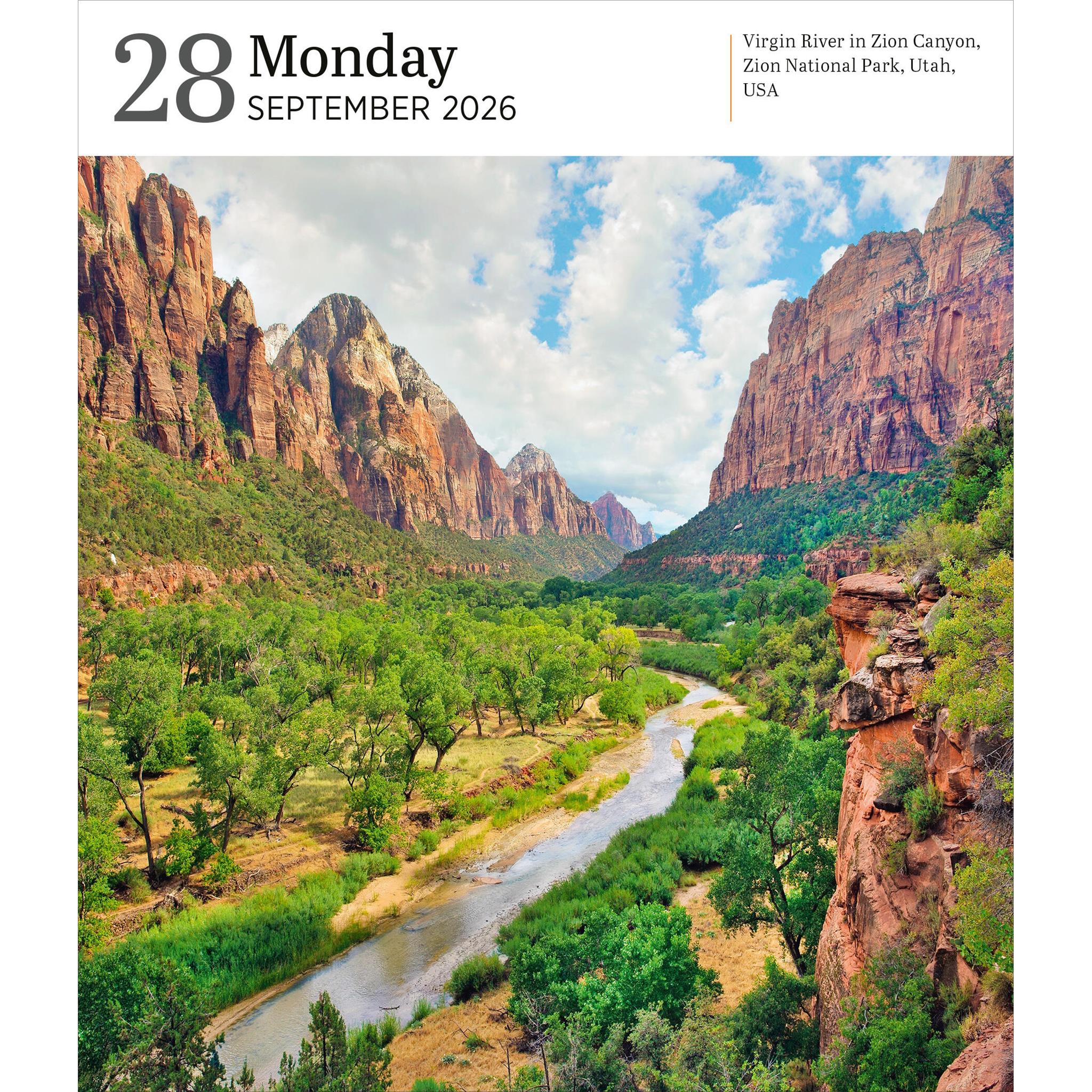 Calendrier en boîte 2026 de la galerie de la nature Audubon