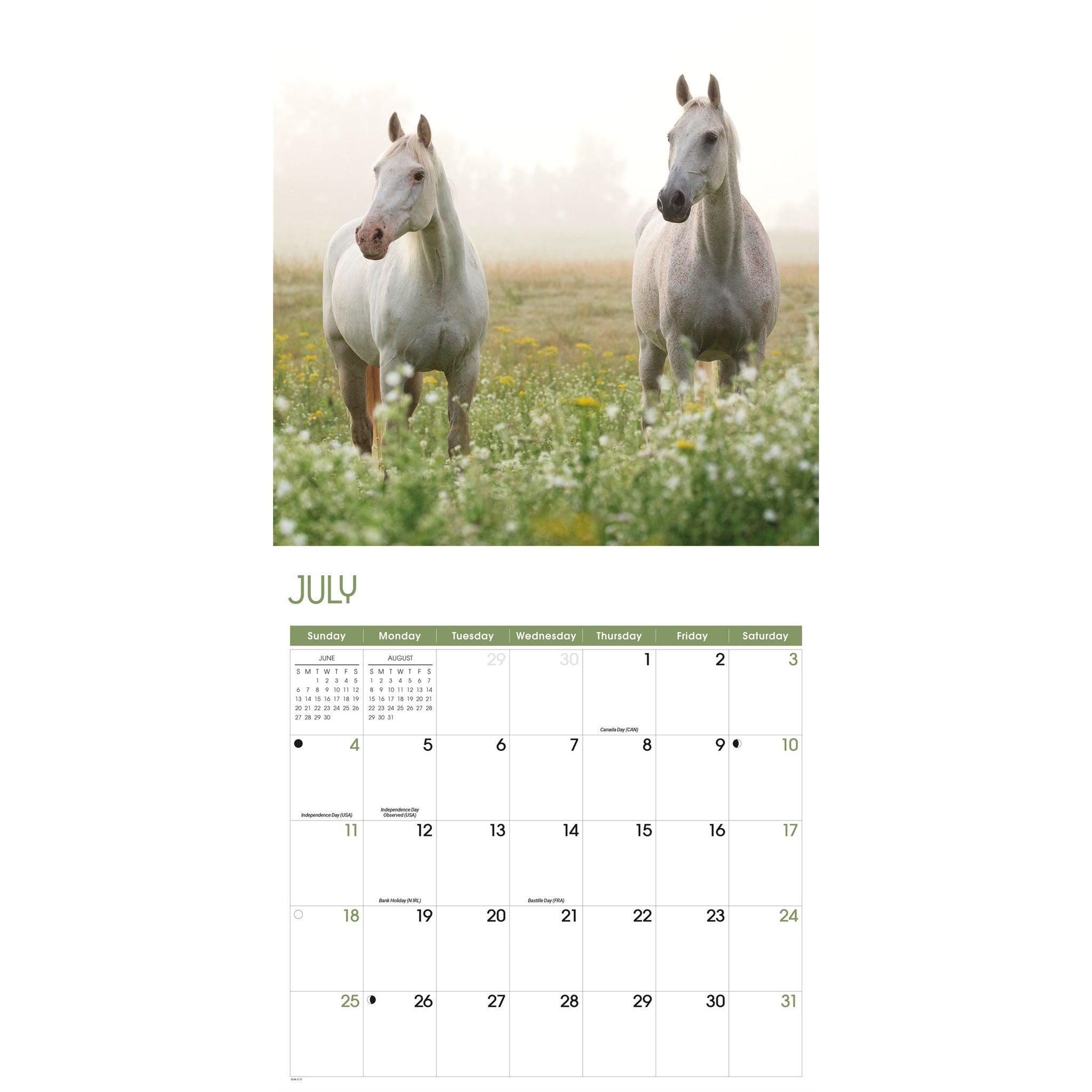Calendrier mural Chevaux 2027