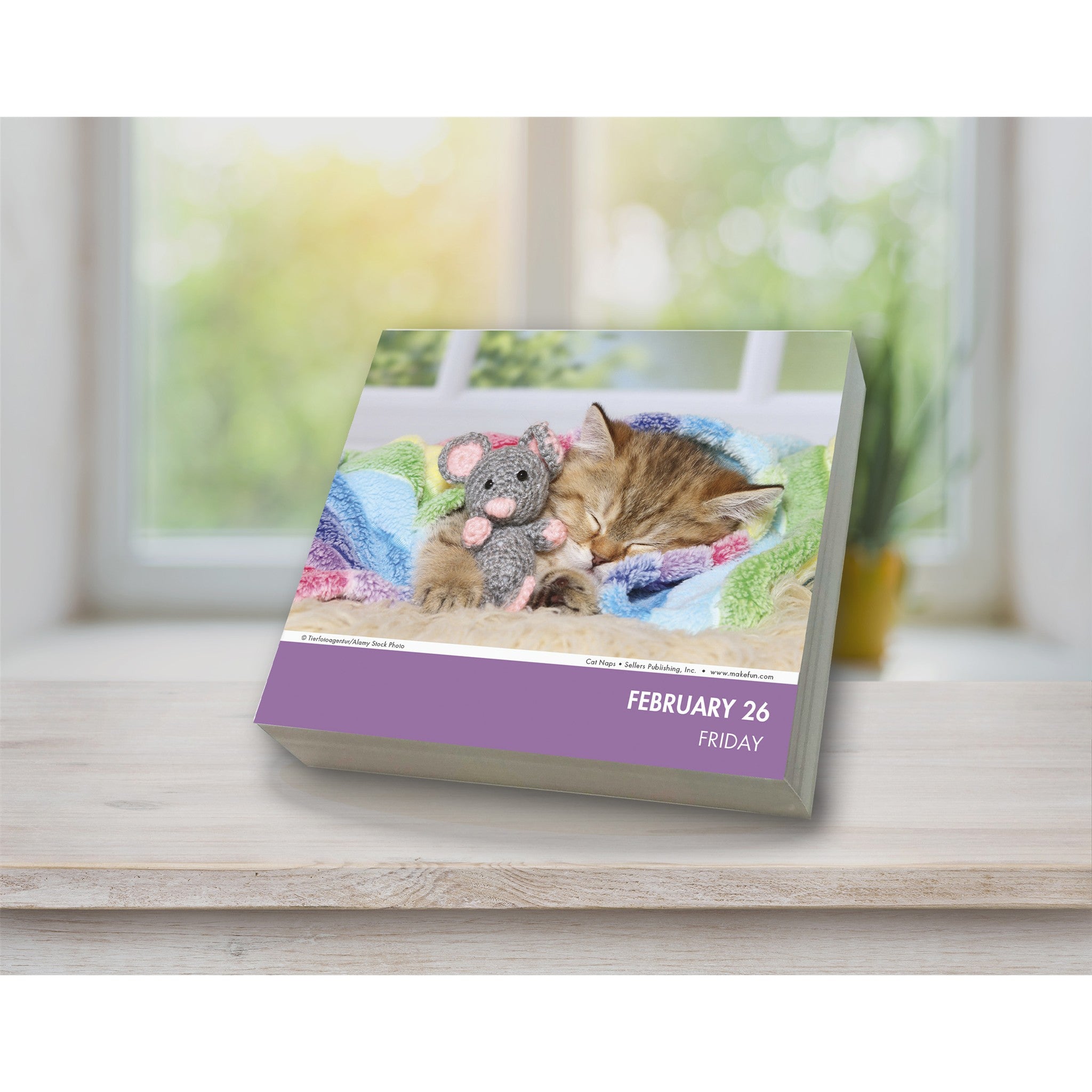 Cat Naps 2027 Box Calendar