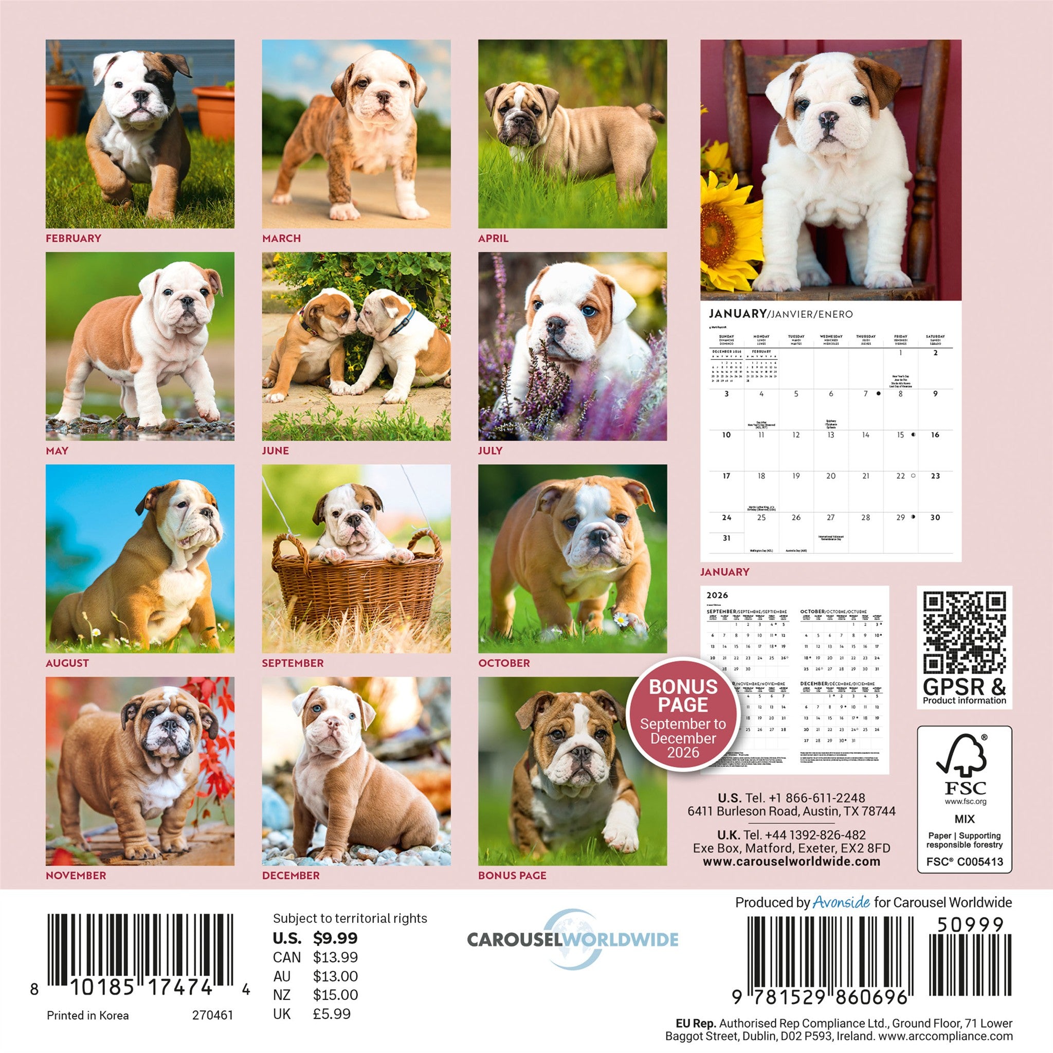Mini-calendrier Chiots Bouledogues 2027