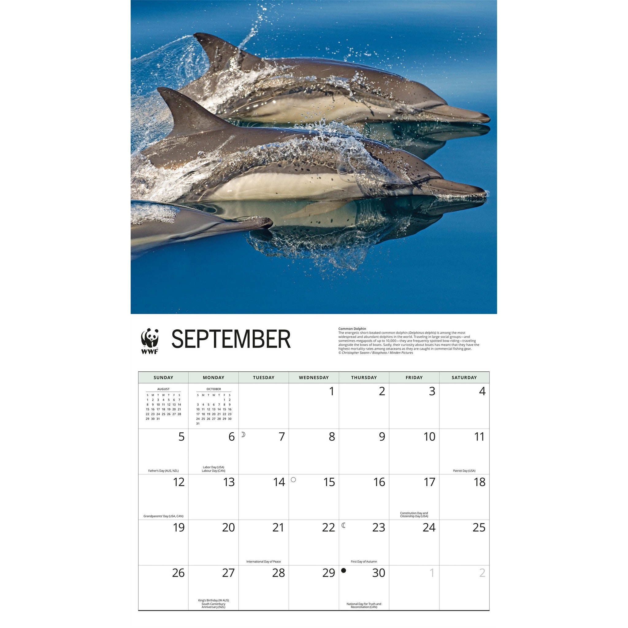 Calendrier mural 2027 Dauphins - WWF