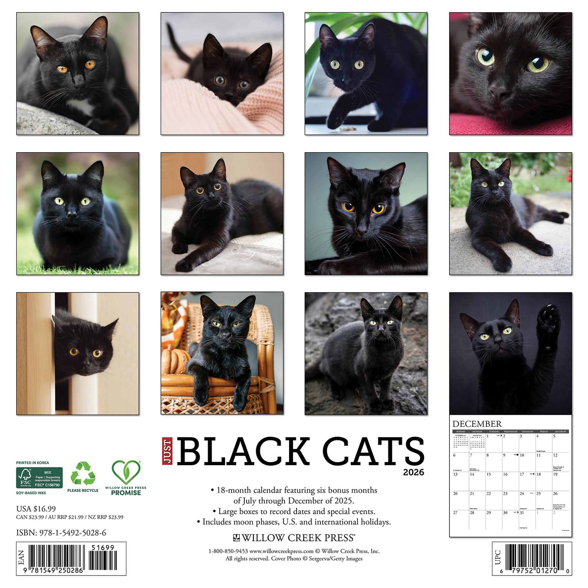 Calendrier mural Just Black Cats 2026