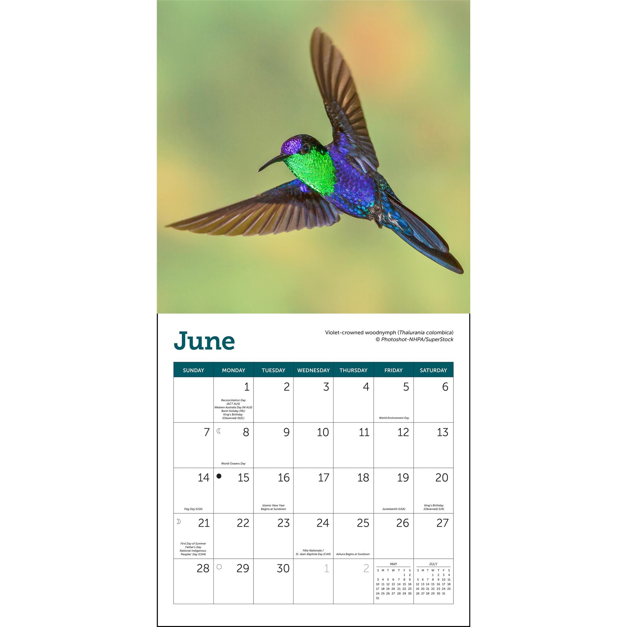Mini-calendrier Colibris 2026