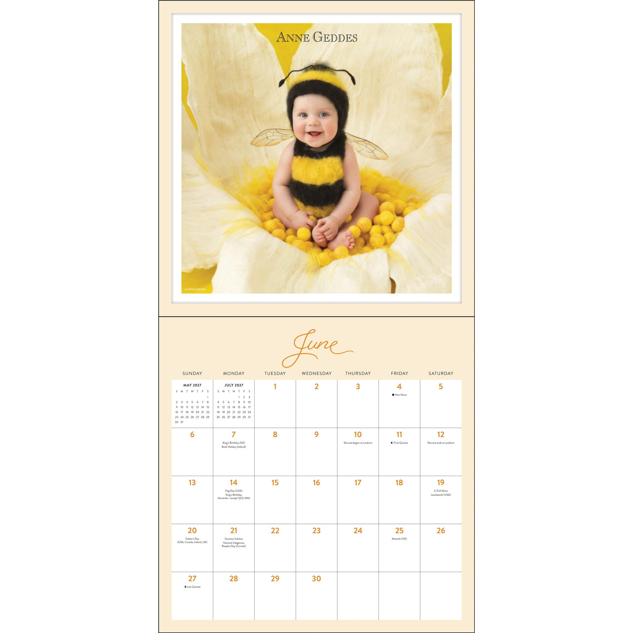 Anne Geddes 2027 Wall Calendar