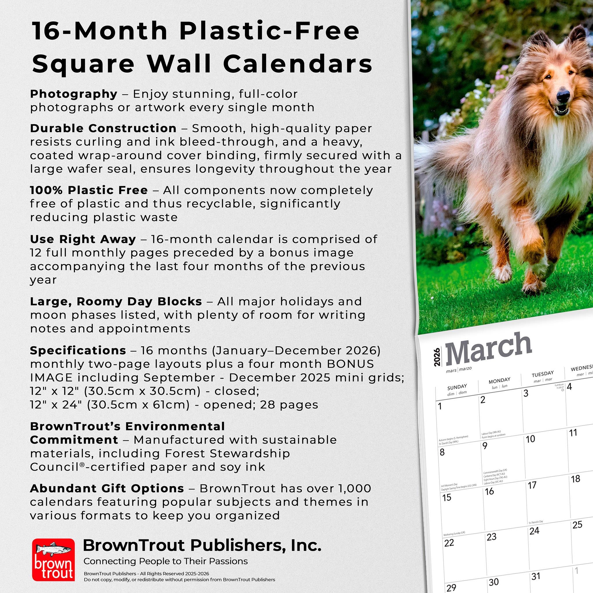 Collies 2026 Wall Calendar