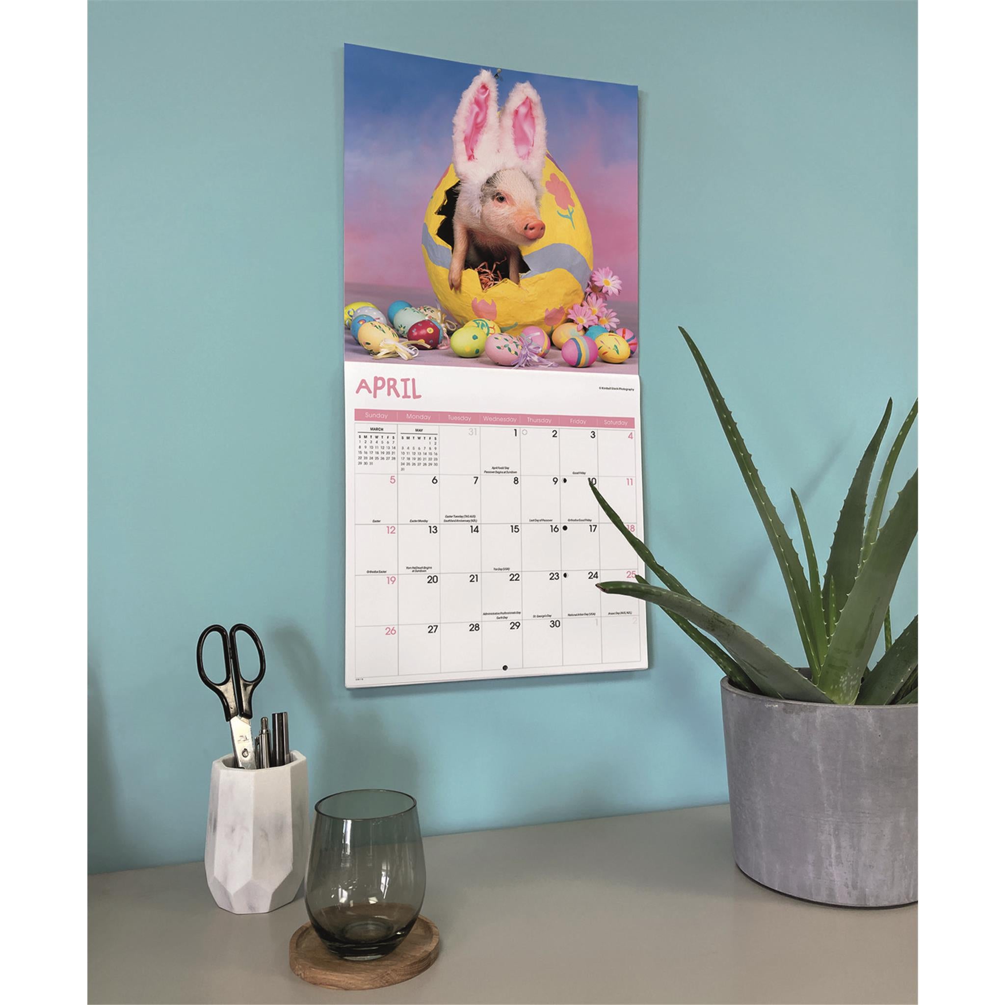 Pigs Playful 2026 Wall Calendar
