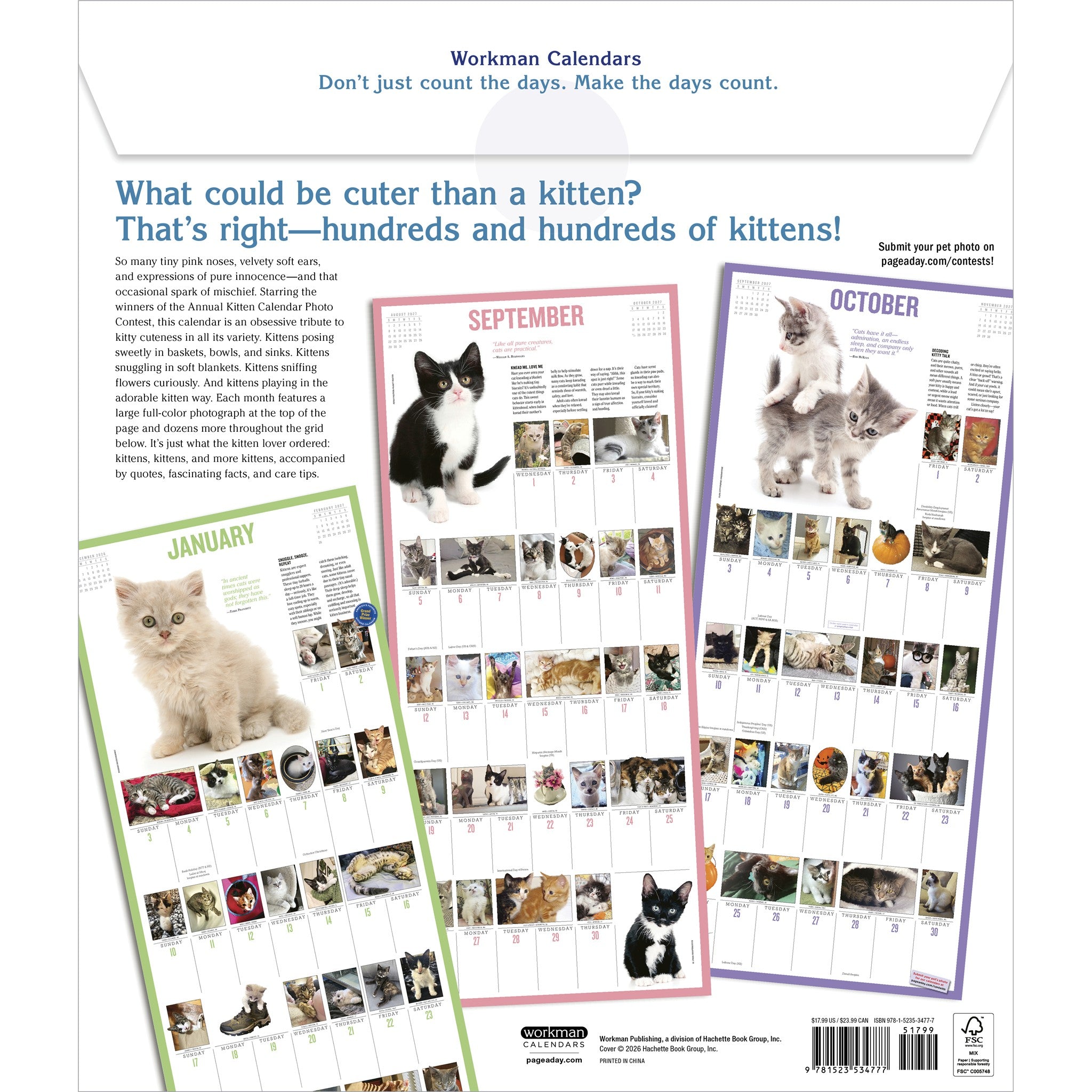 Calendrier Mural 365 Chatonniers par An 2027