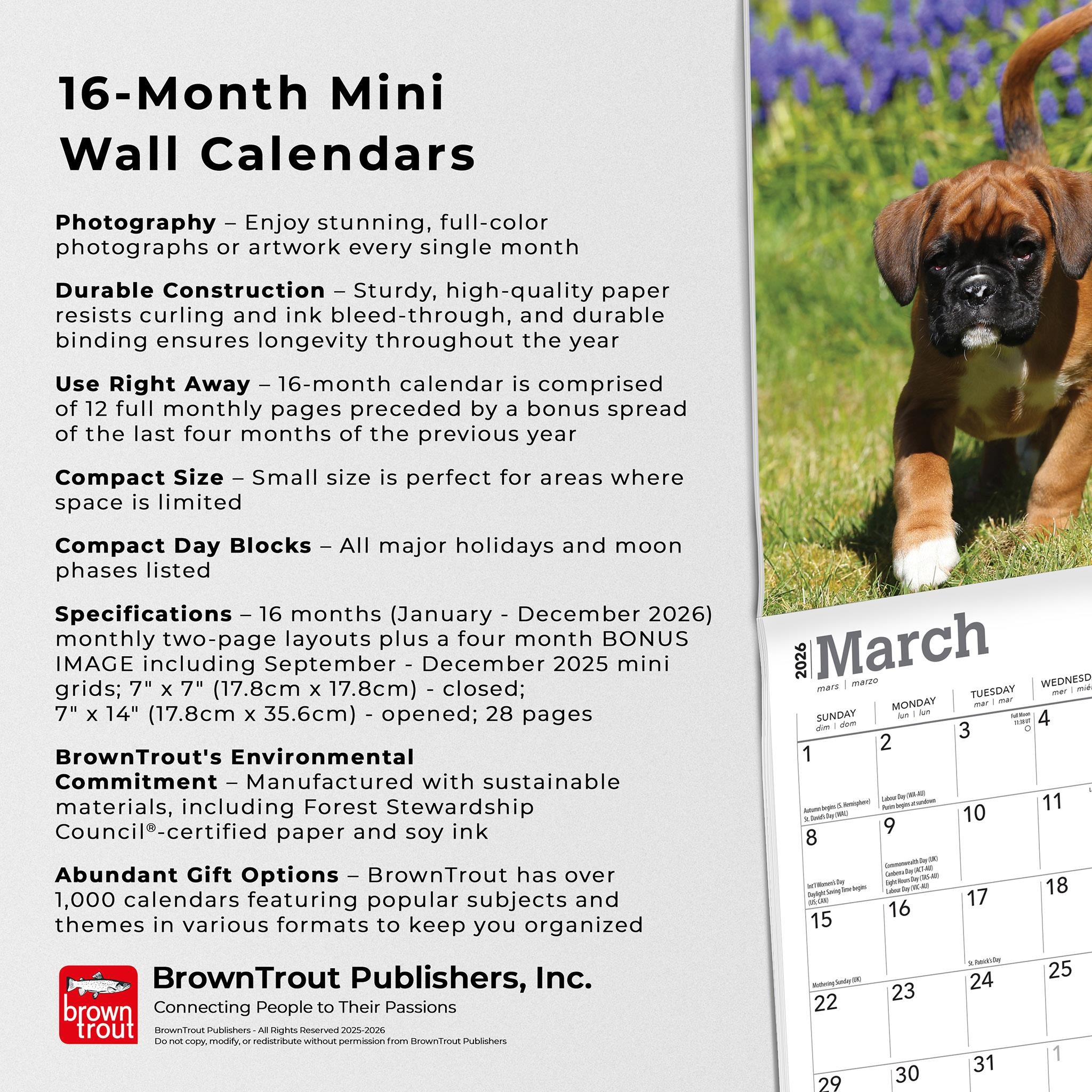 Boxer Puppies 2026 Mini Calendar
